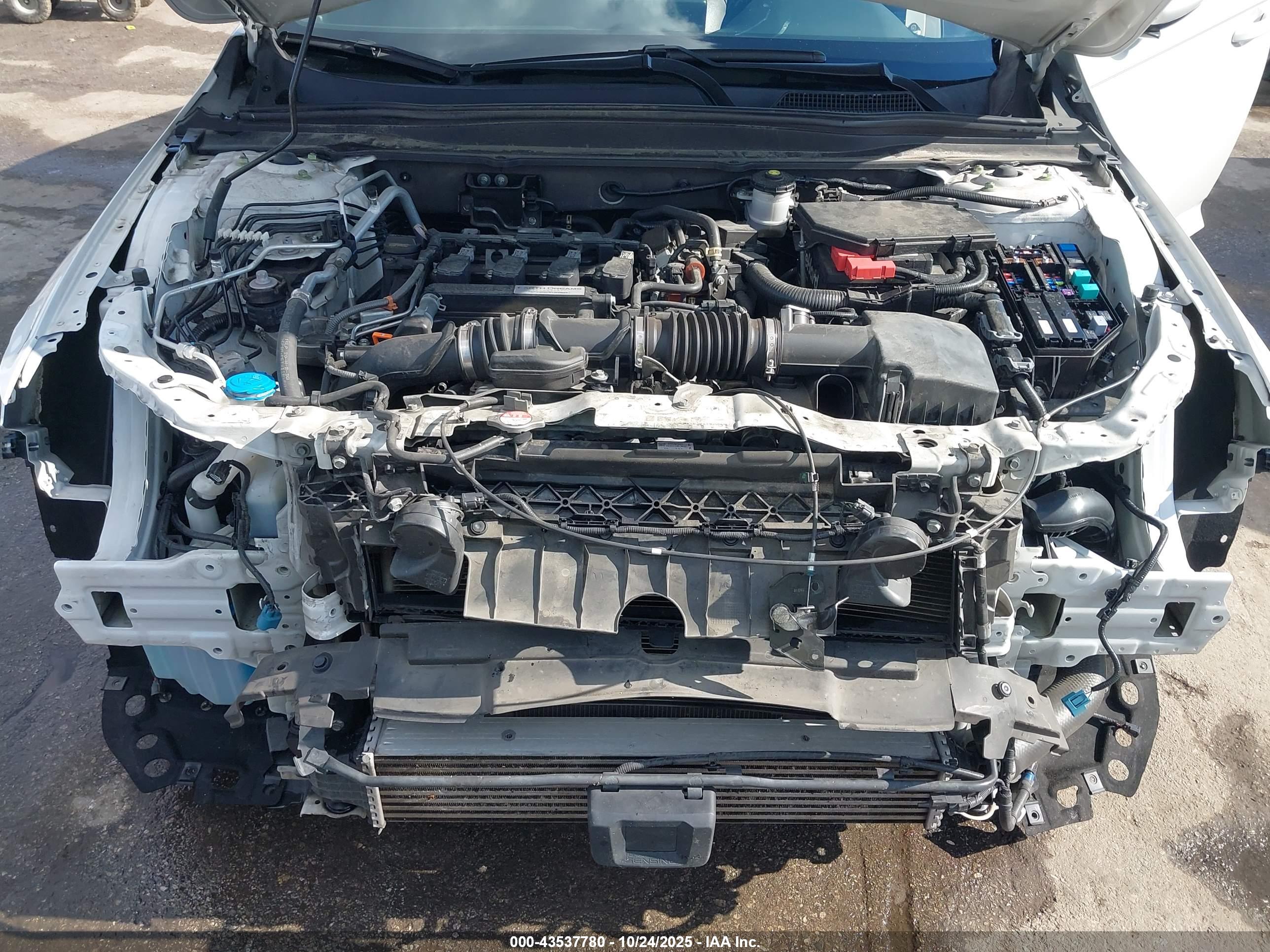 HONDA ACCORD image 10
