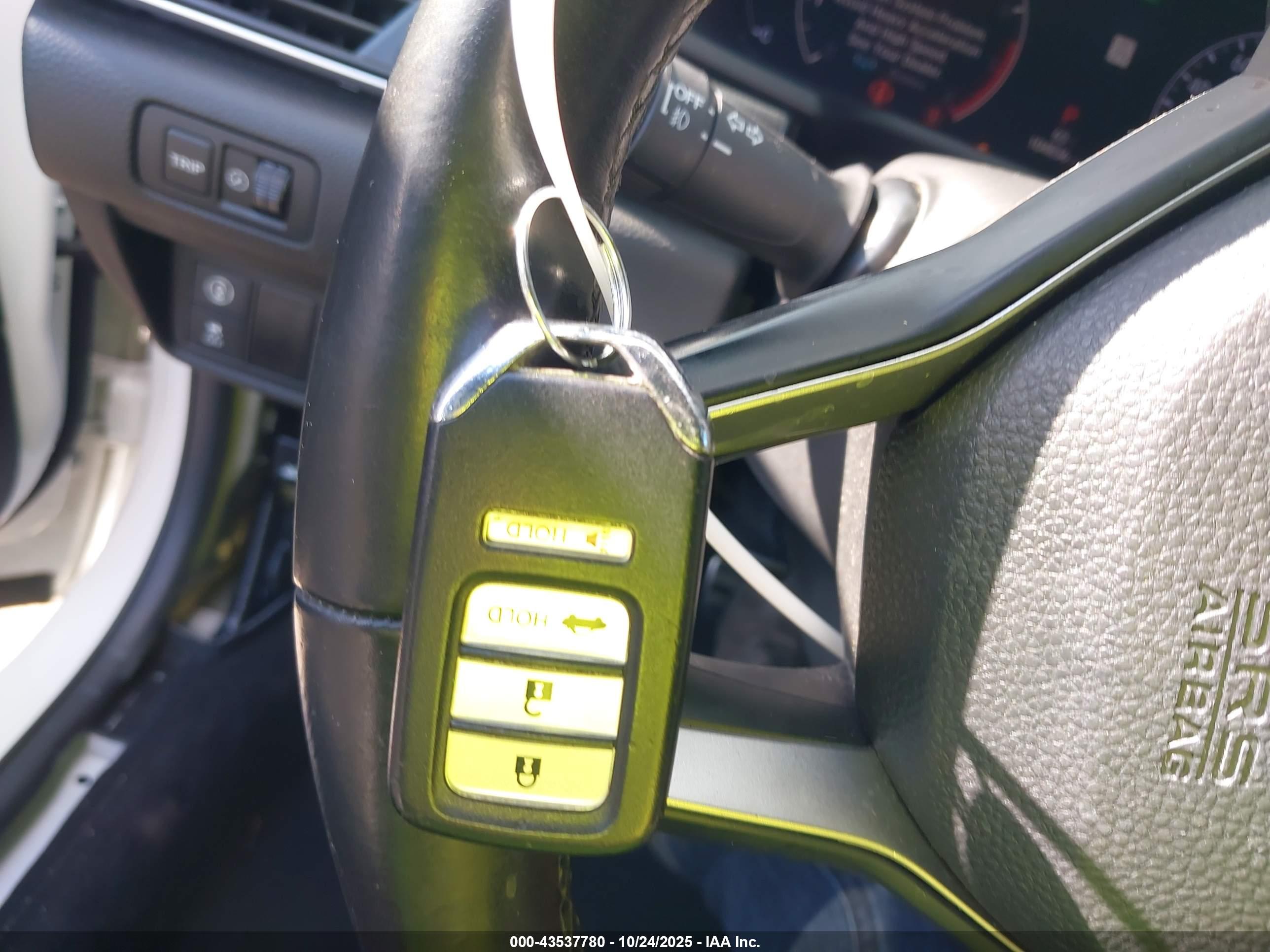 HONDA ACCORD image 11