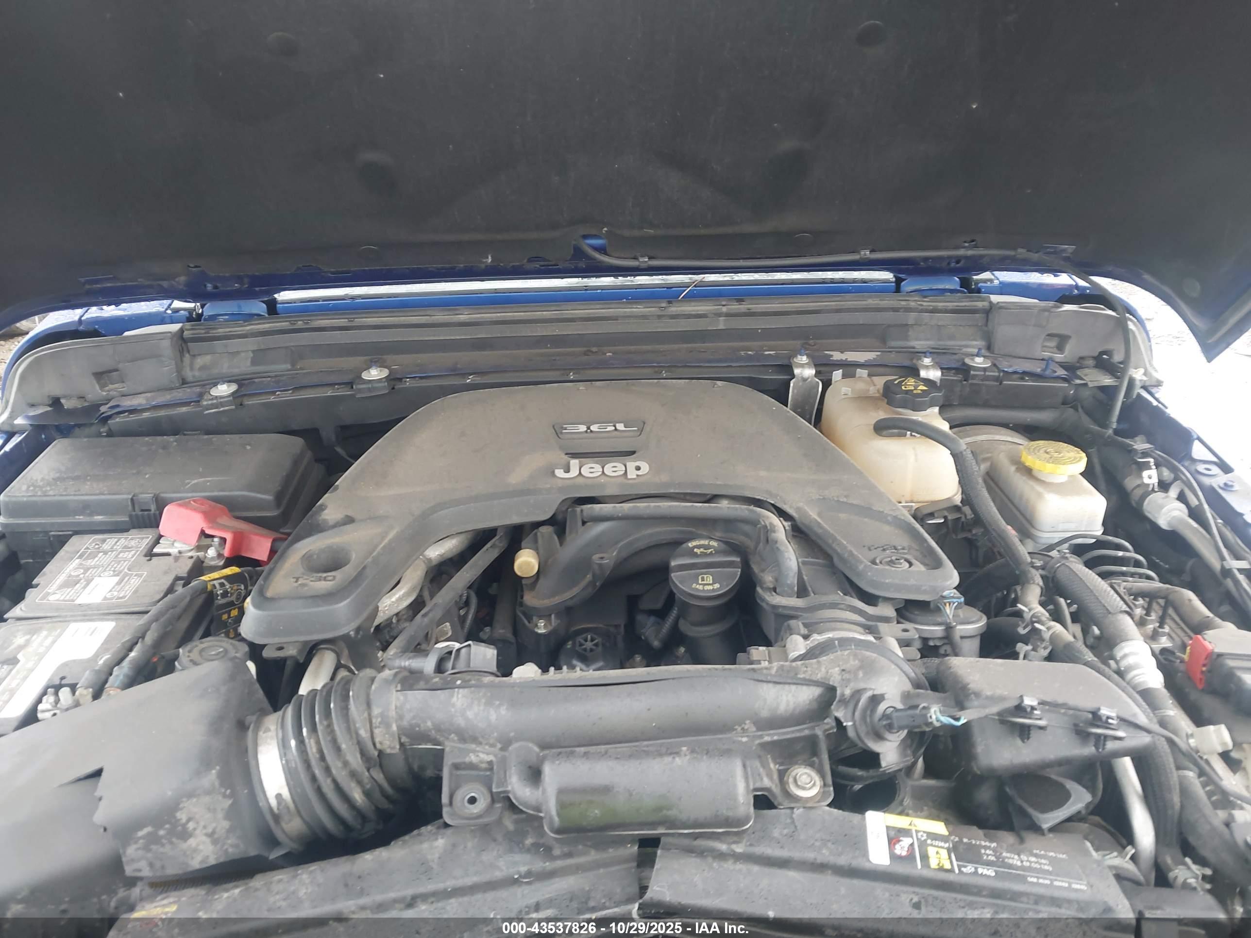 JEEP WRANGLER image 10