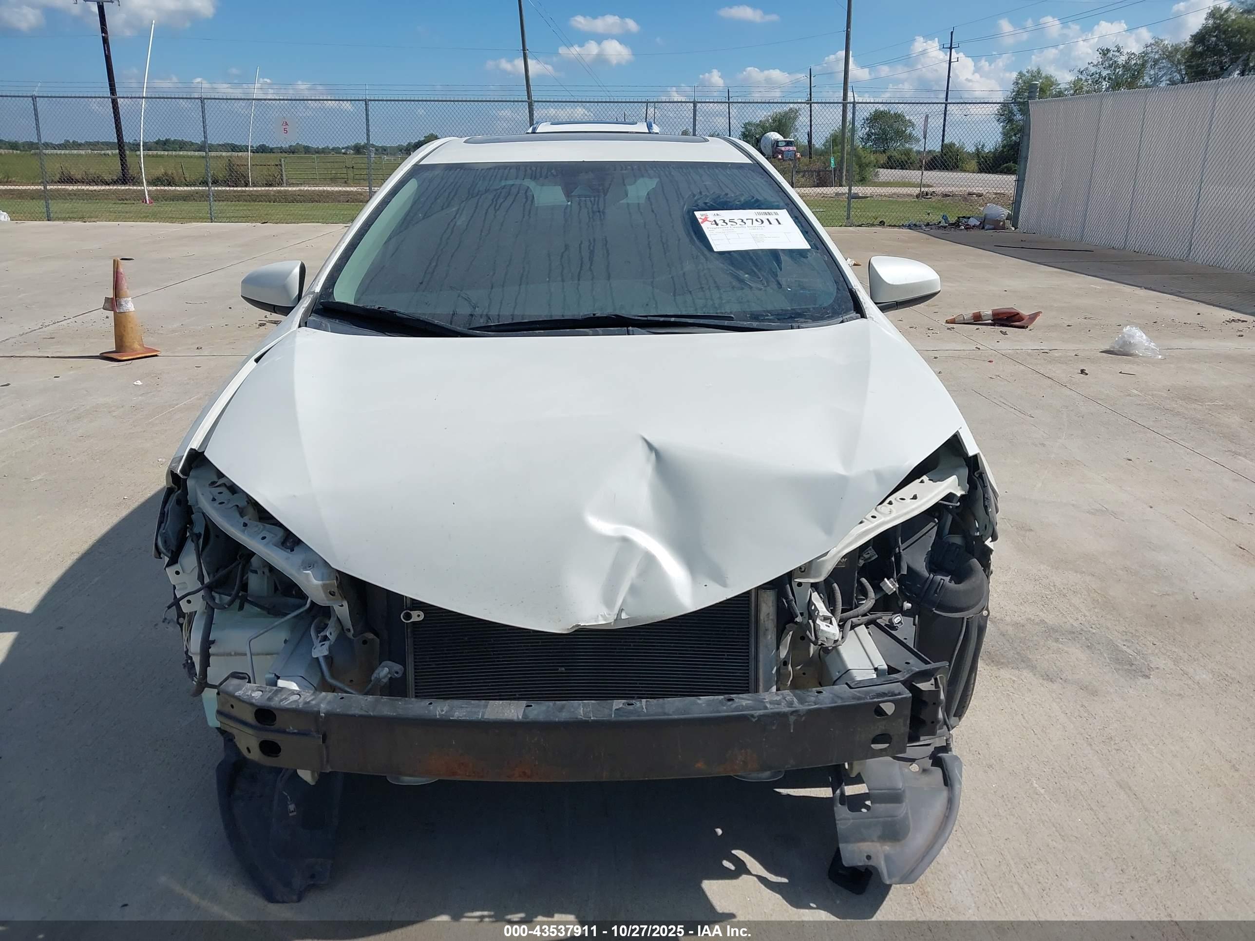 TOYOTA COROLLA image 6