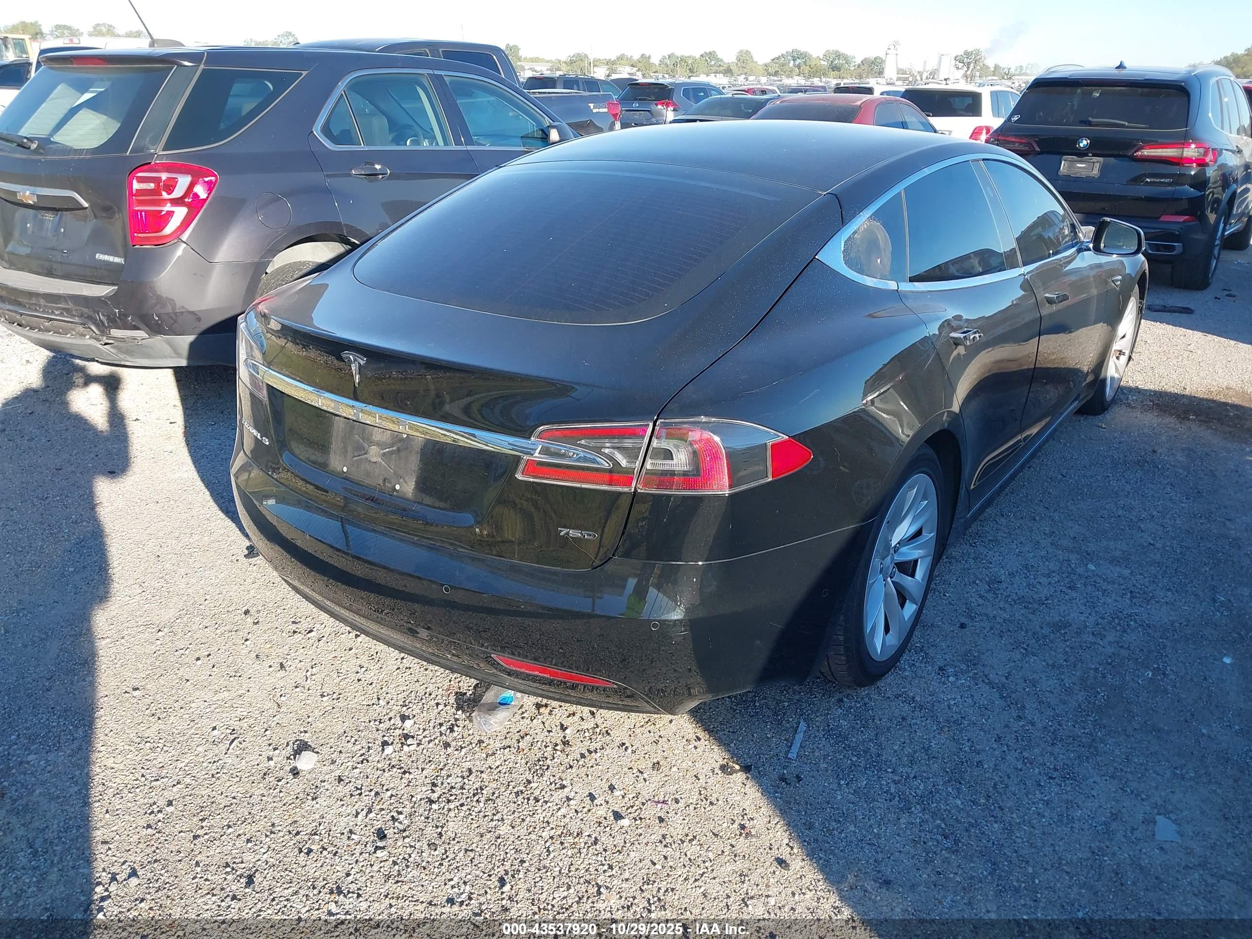 TESLA MODEL image 4