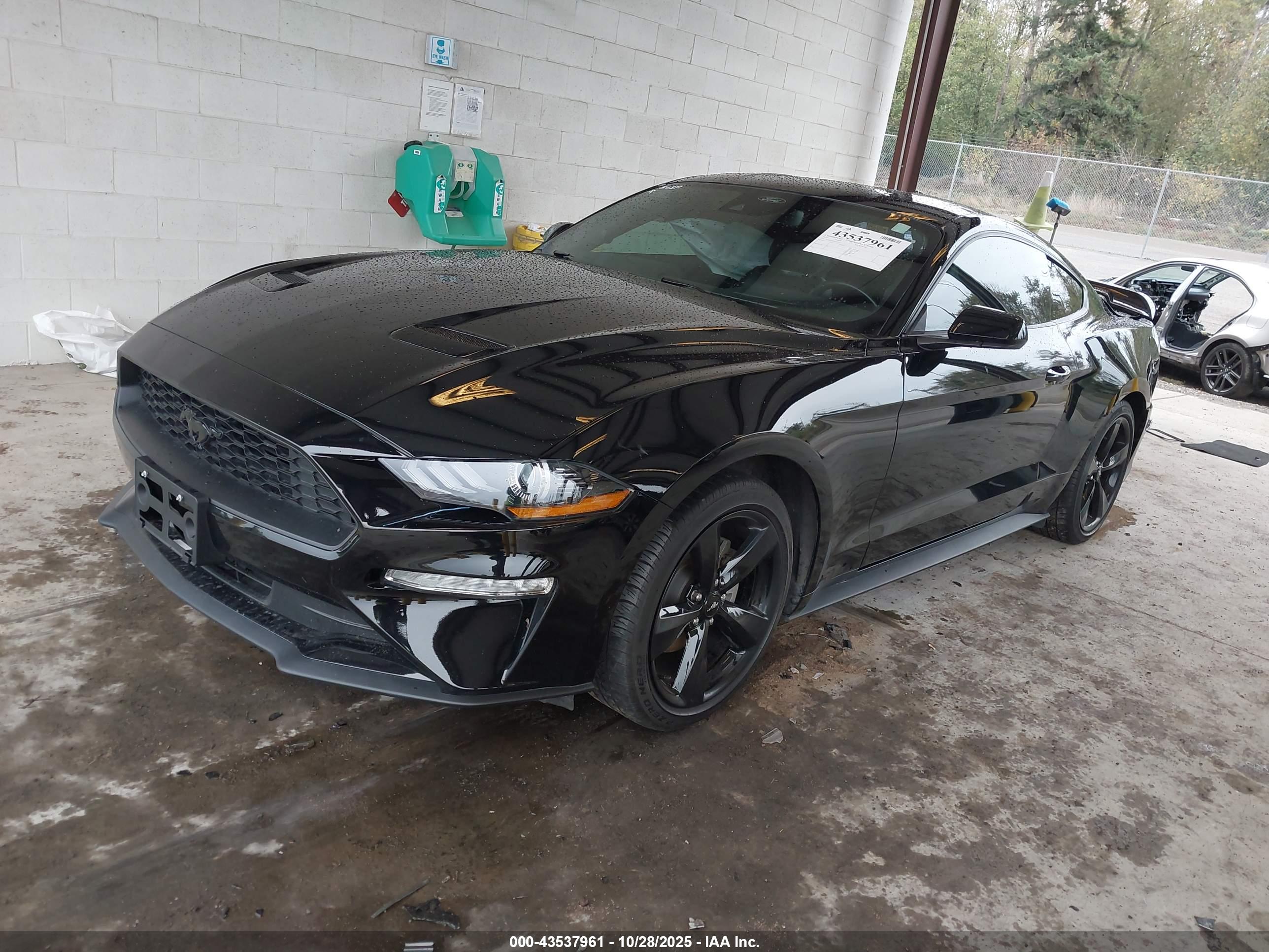 FORD MUSTANG image 2