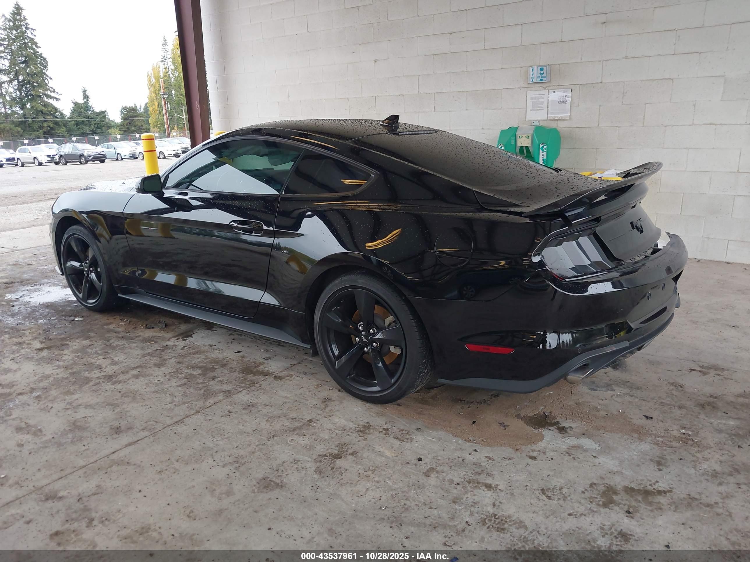 FORD MUSTANG image 3