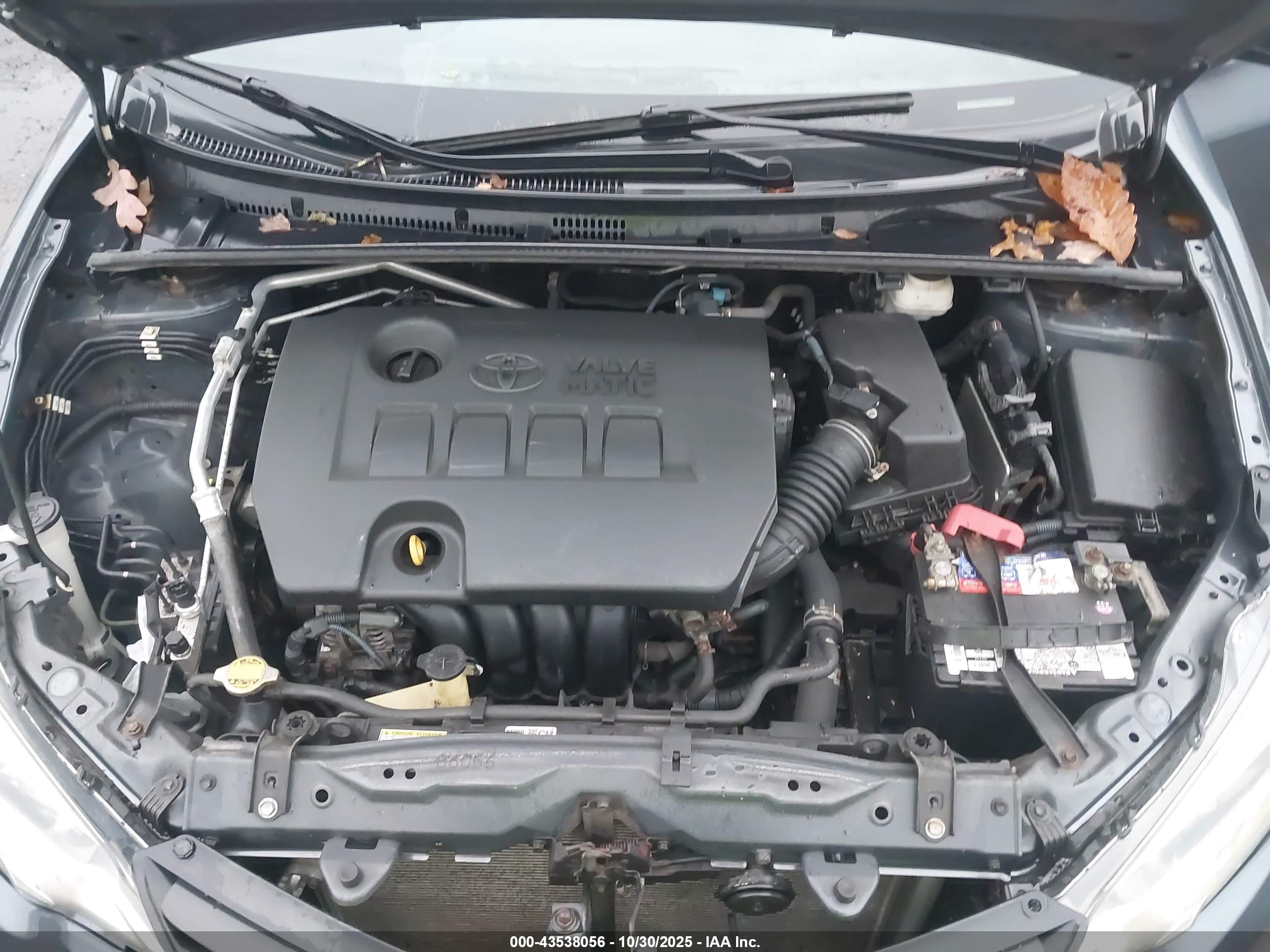 TOYOTA COROLLA image 10
