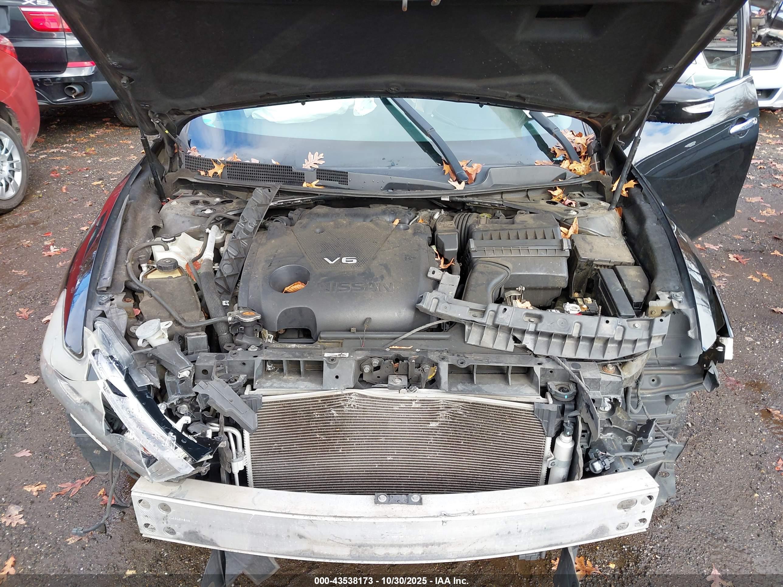 NISSAN MAXIMA image 10