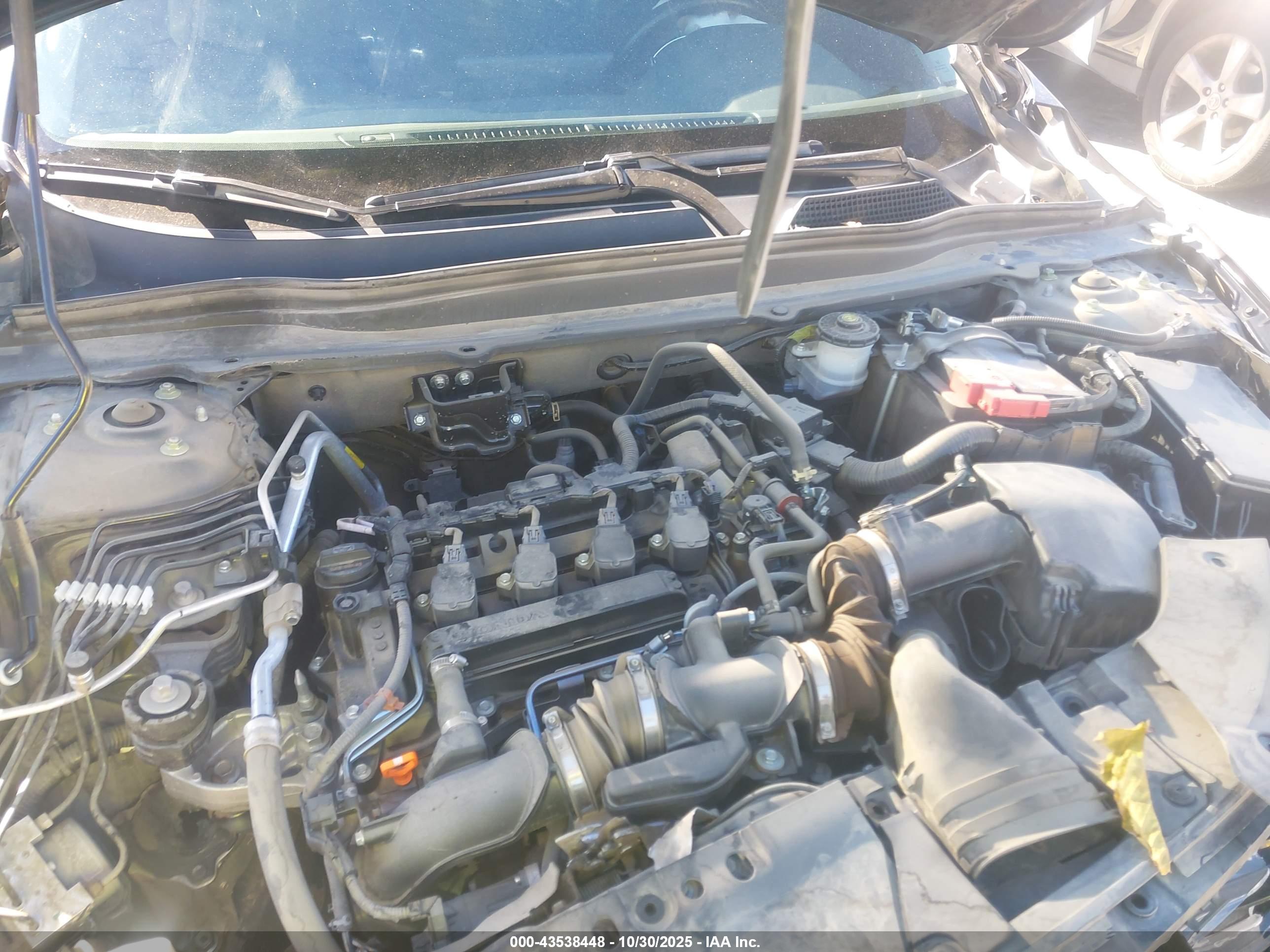 HONDA ACCORD image 10