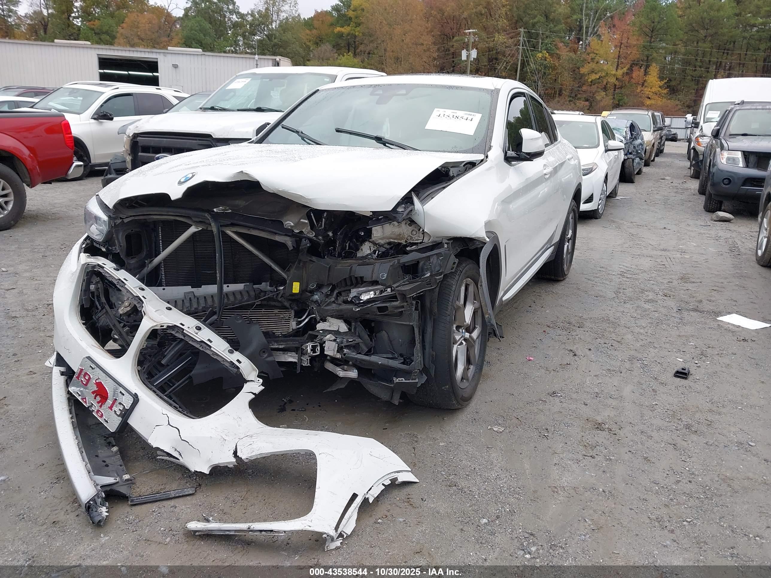BMW X4 image 2