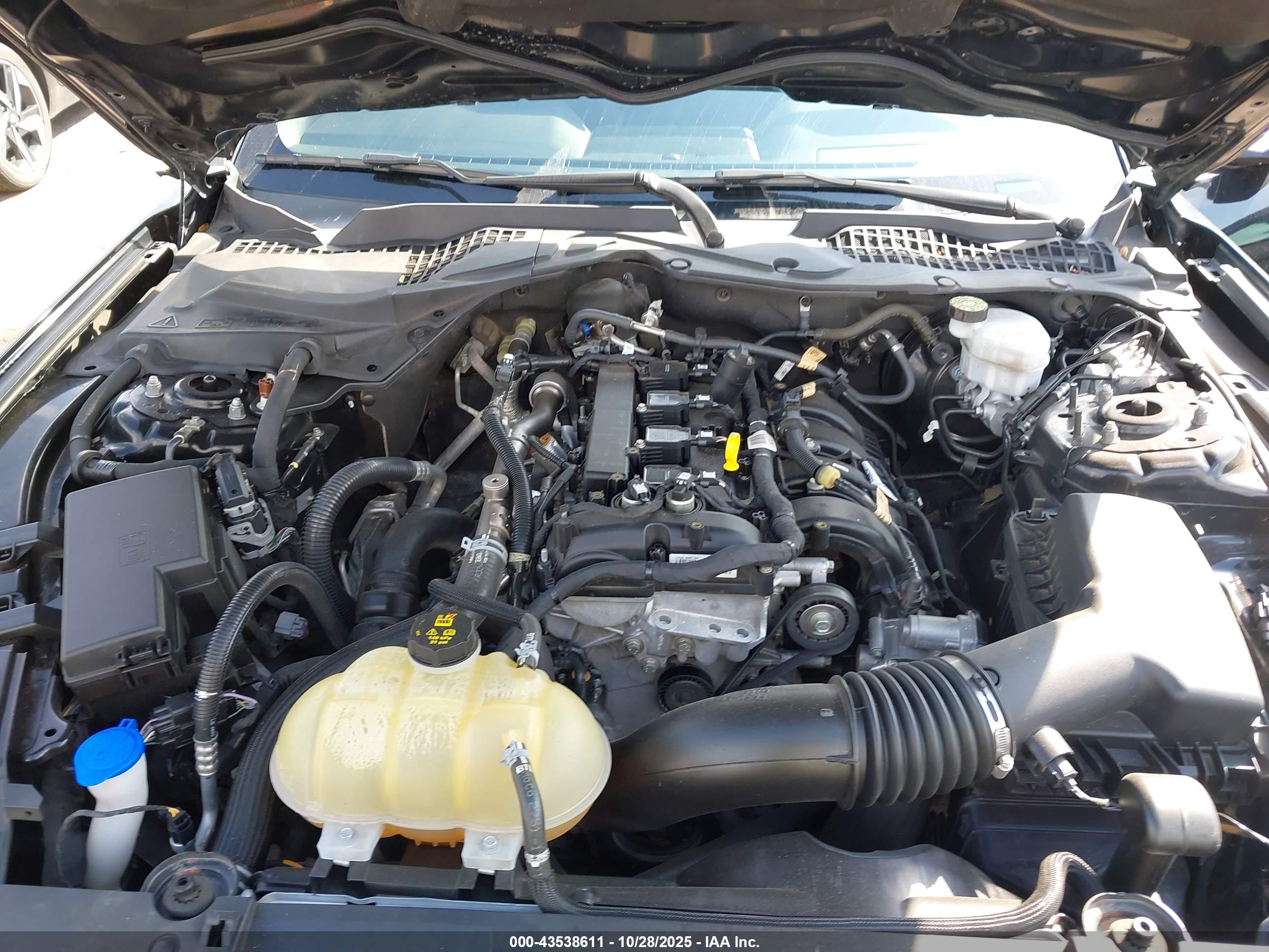 FORD MUSTANG image 10