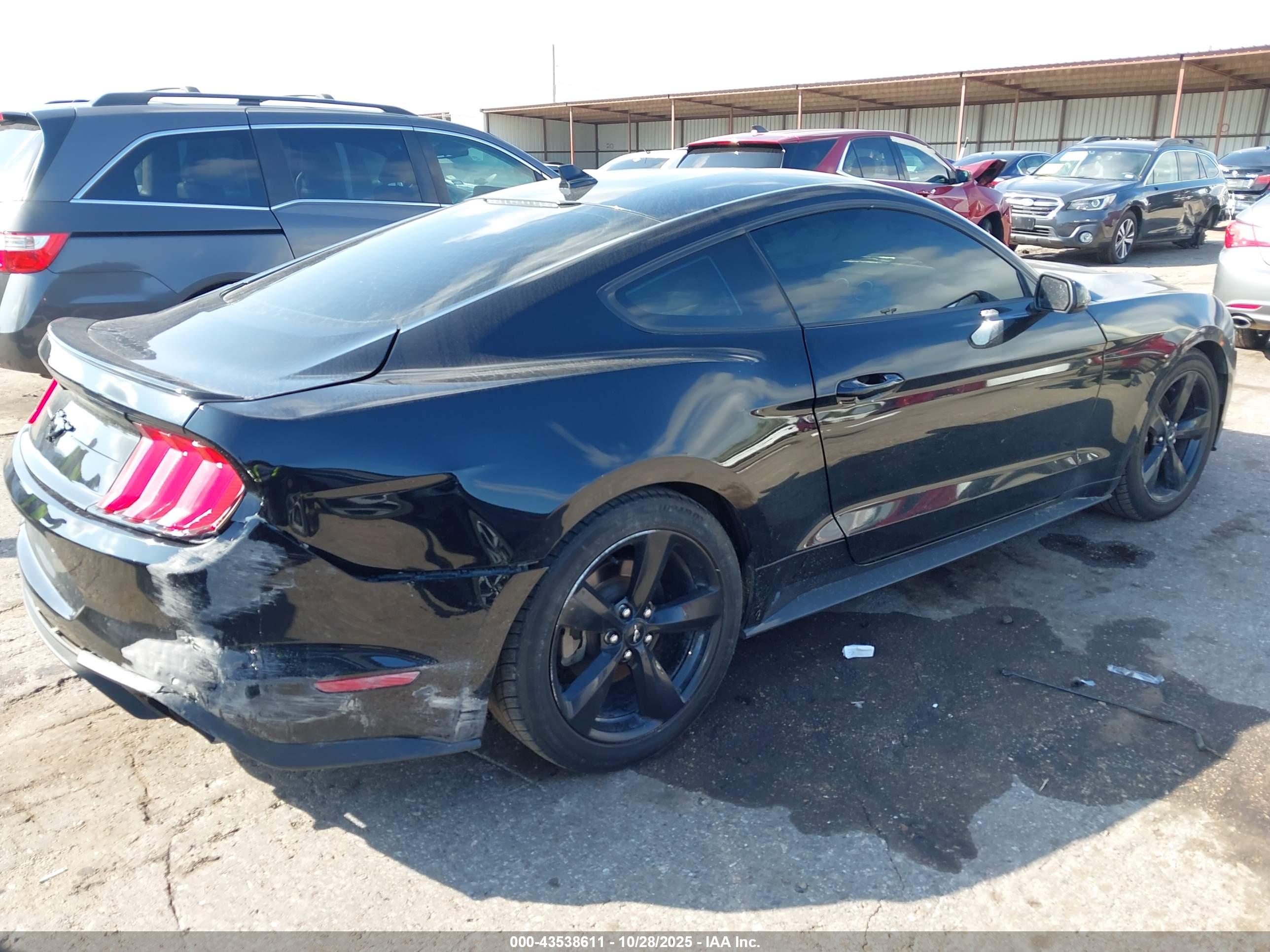 FORD MUSTANG image 4