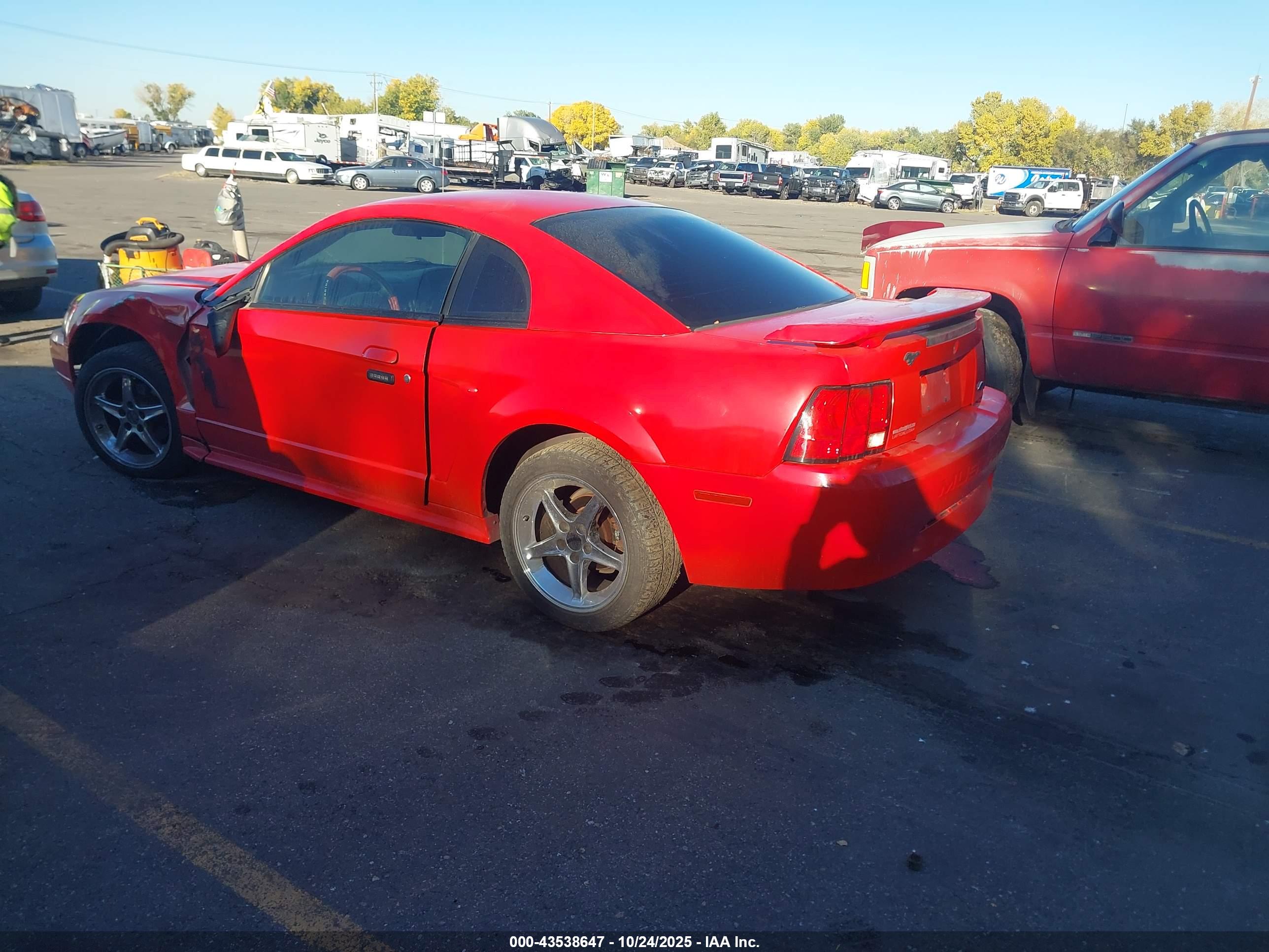 FORD MUSTANG image 3