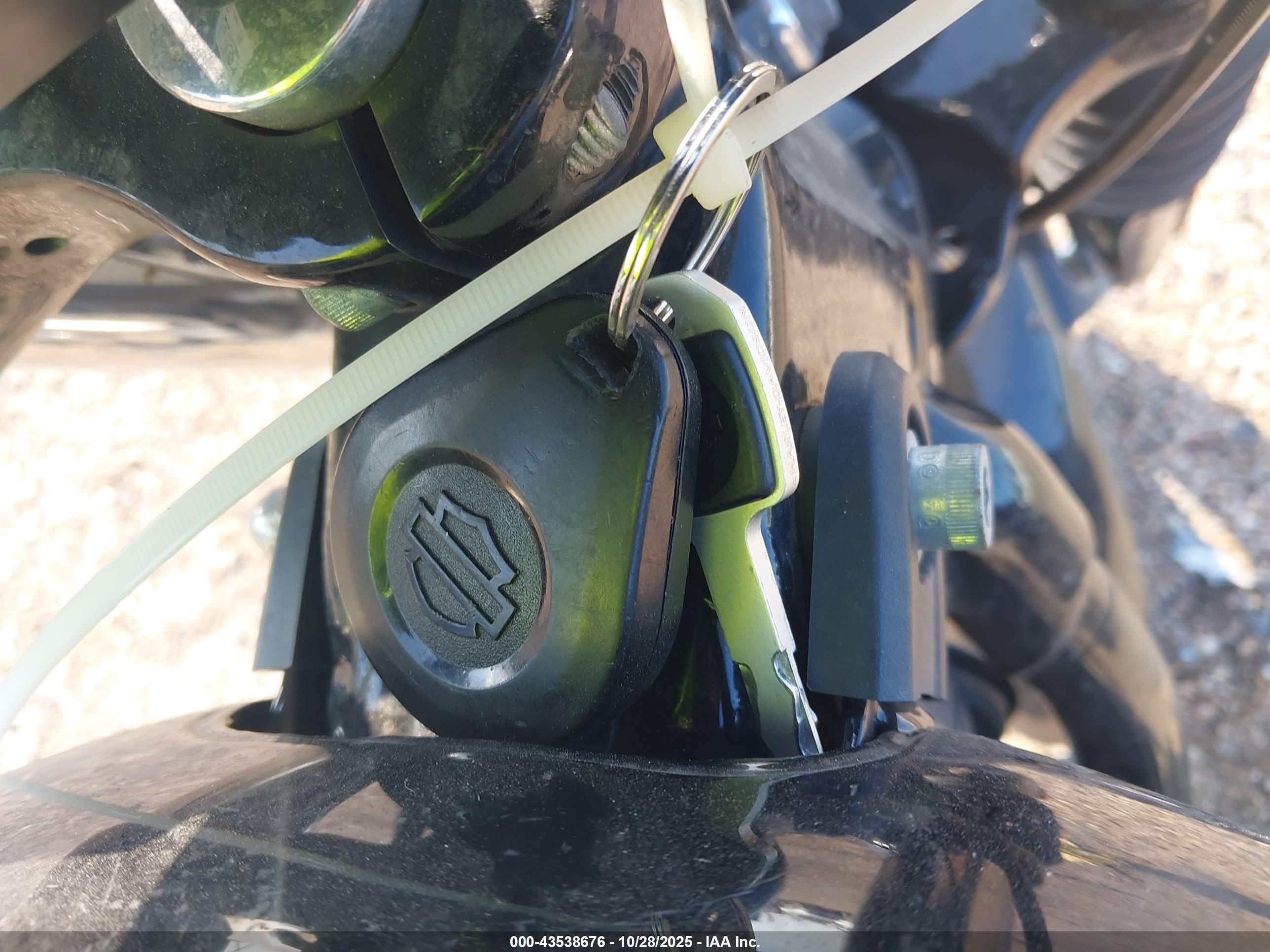 HARLEY-DAVIDSON FXBB image 11