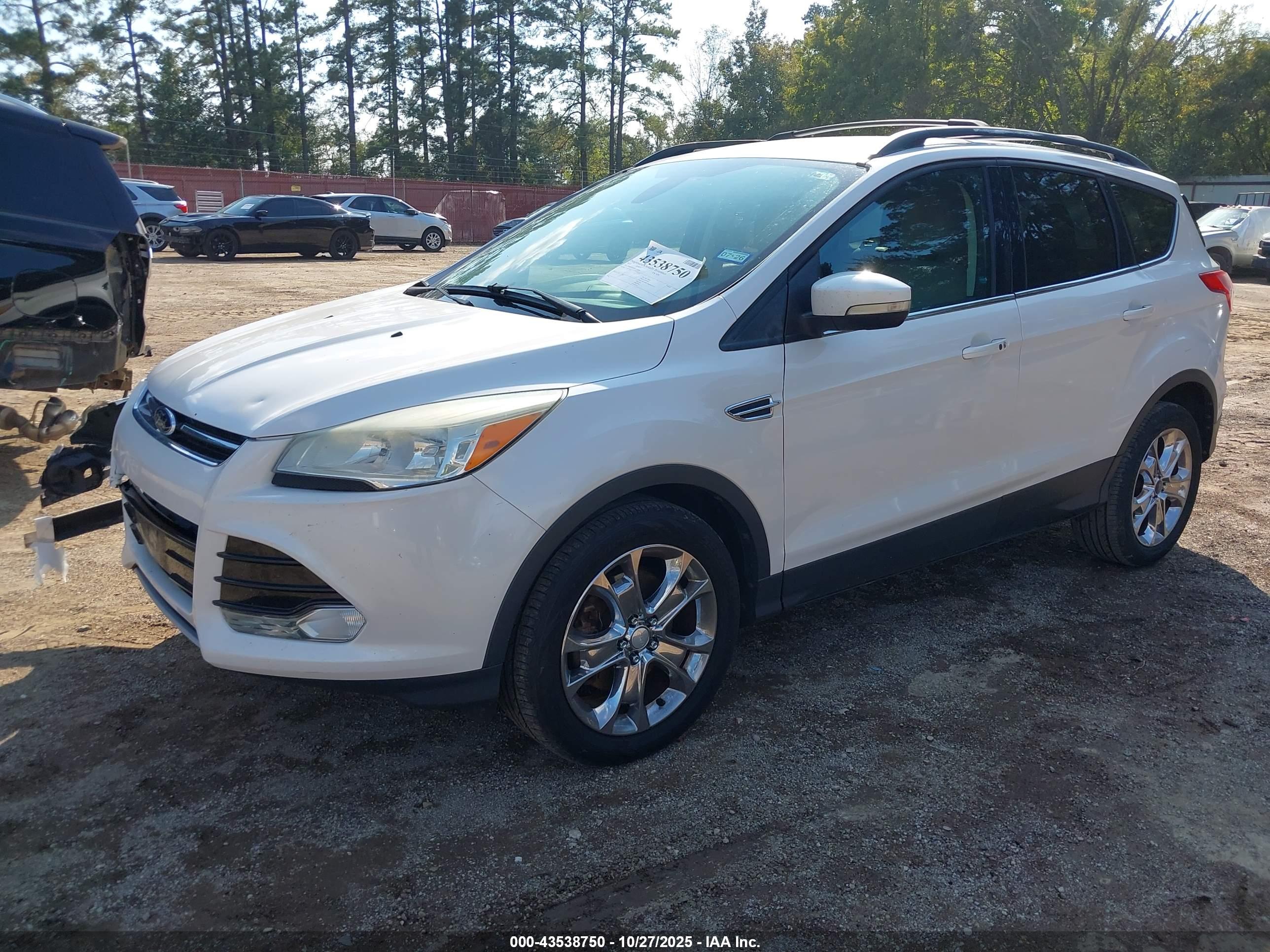 FORD ESCAPE image 2