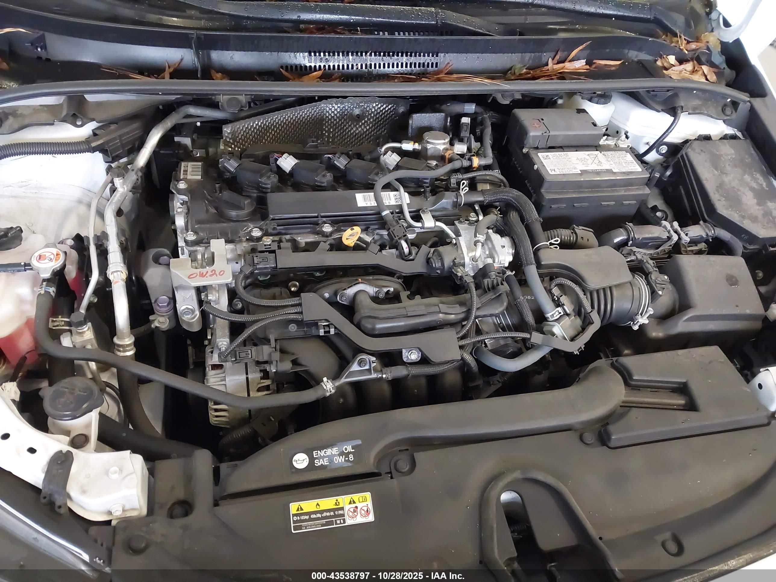 TOYOTA COROLLA image 10