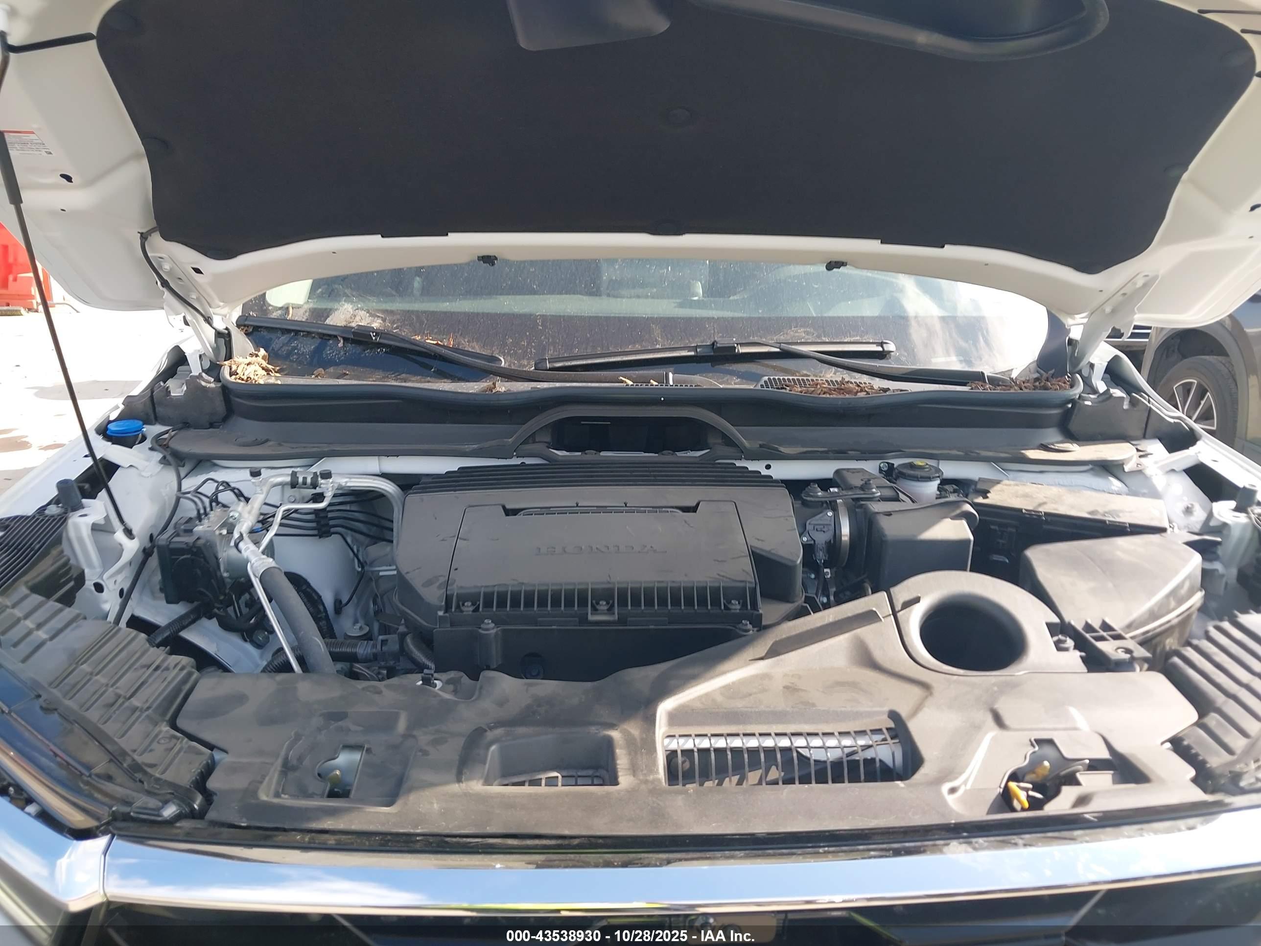HONDA PILOT image 10