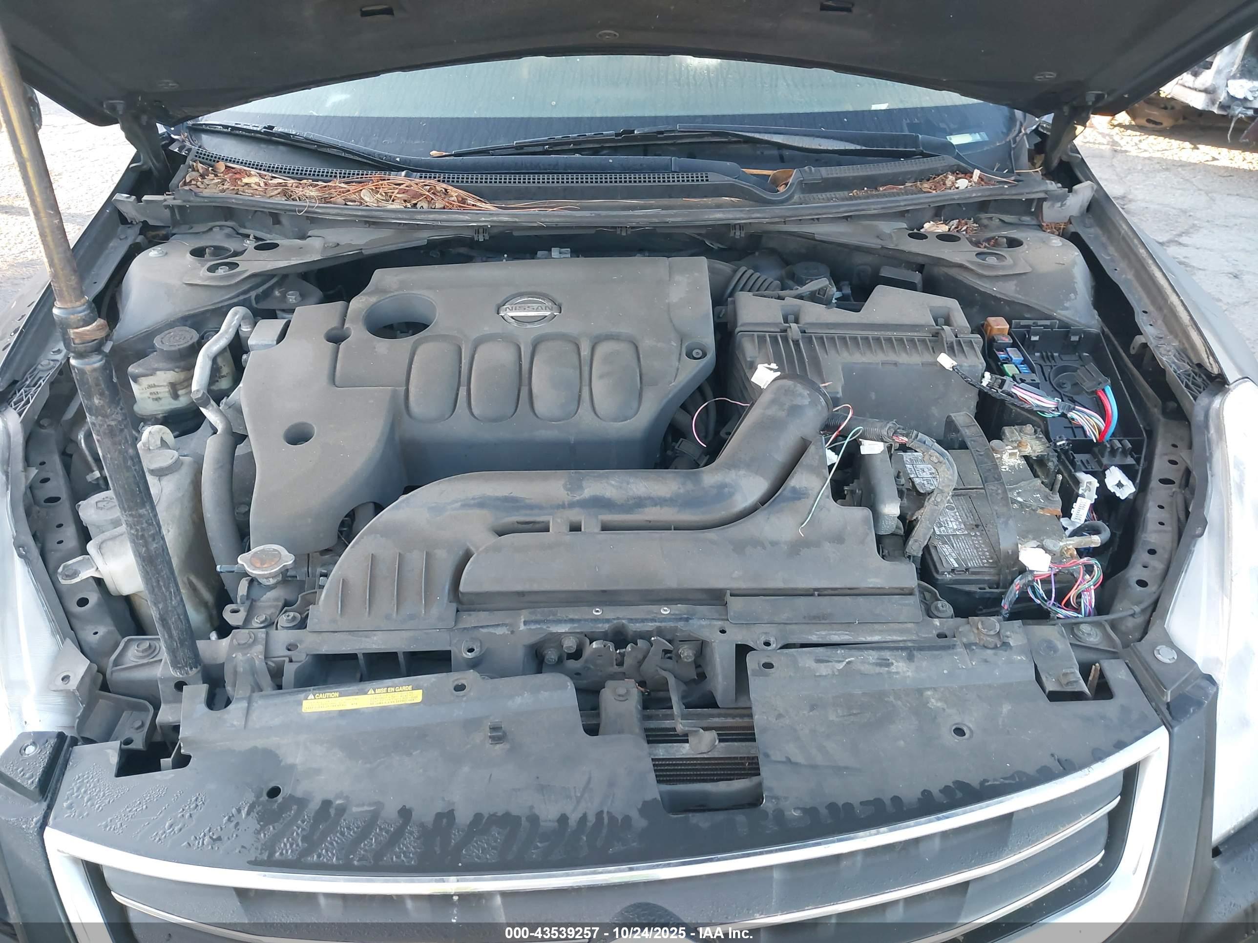 NISSAN ALTIMA image 10