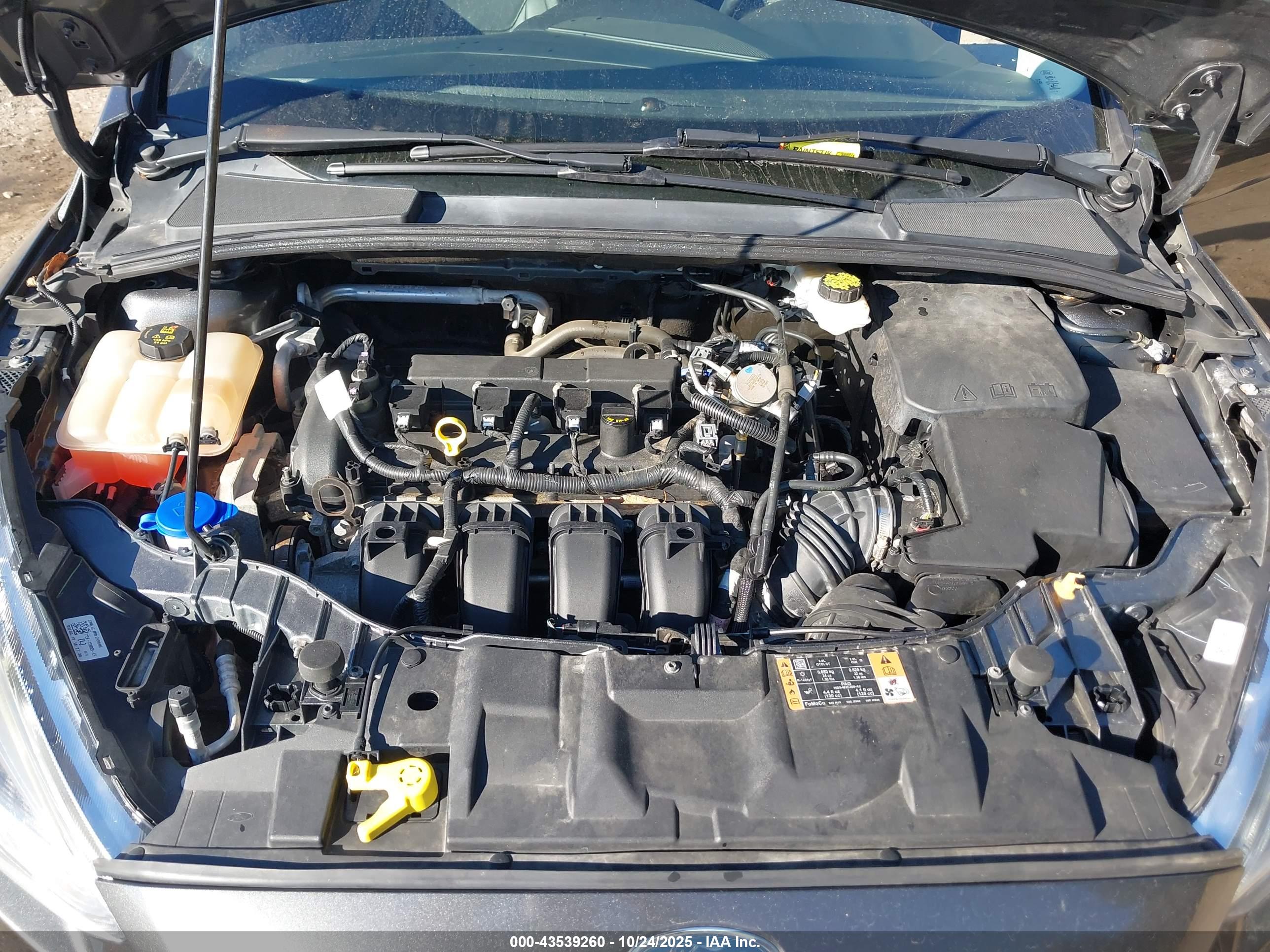 FORD FOCUS image 10