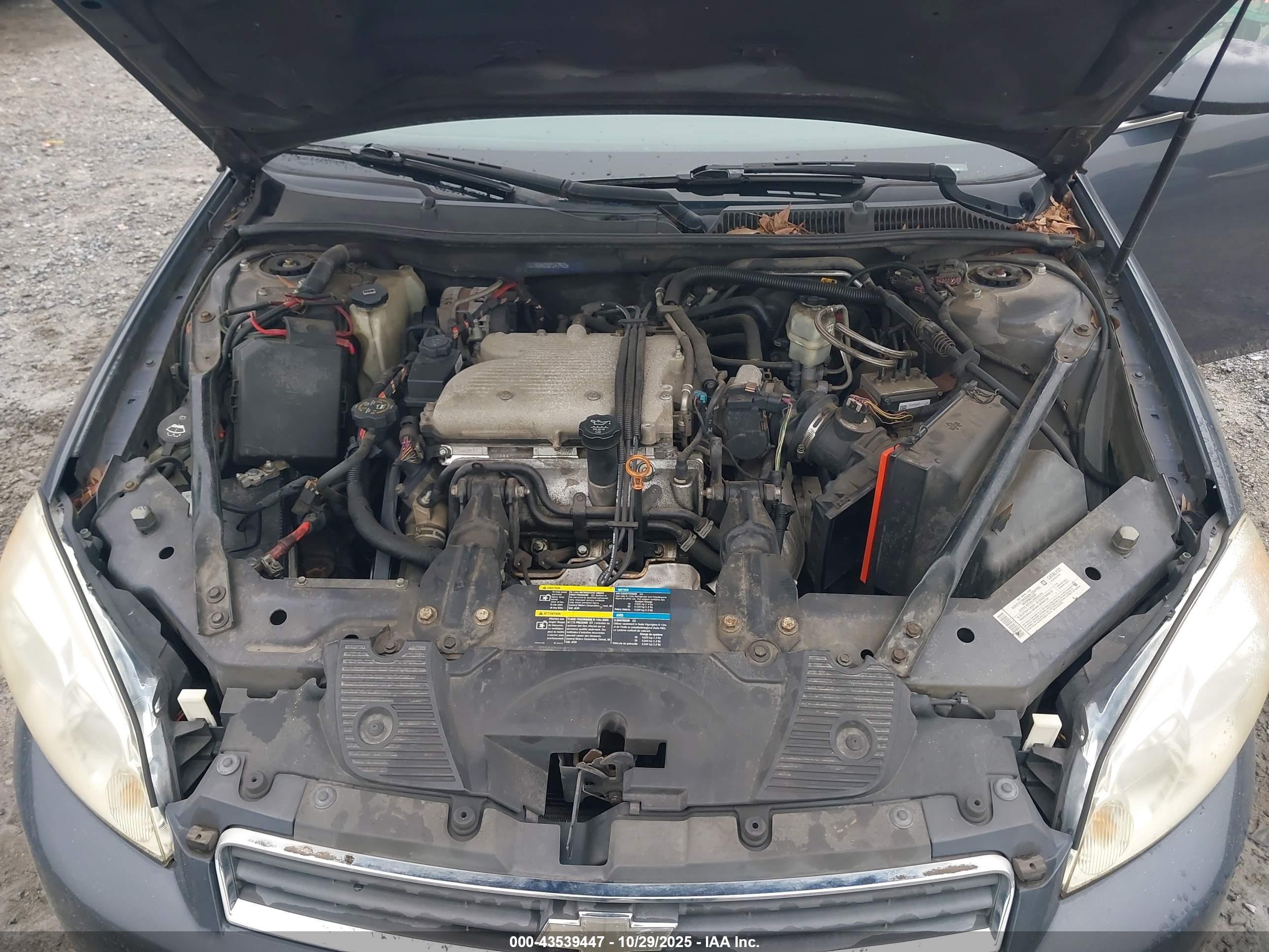 CHEVROLET IMPALA image 10