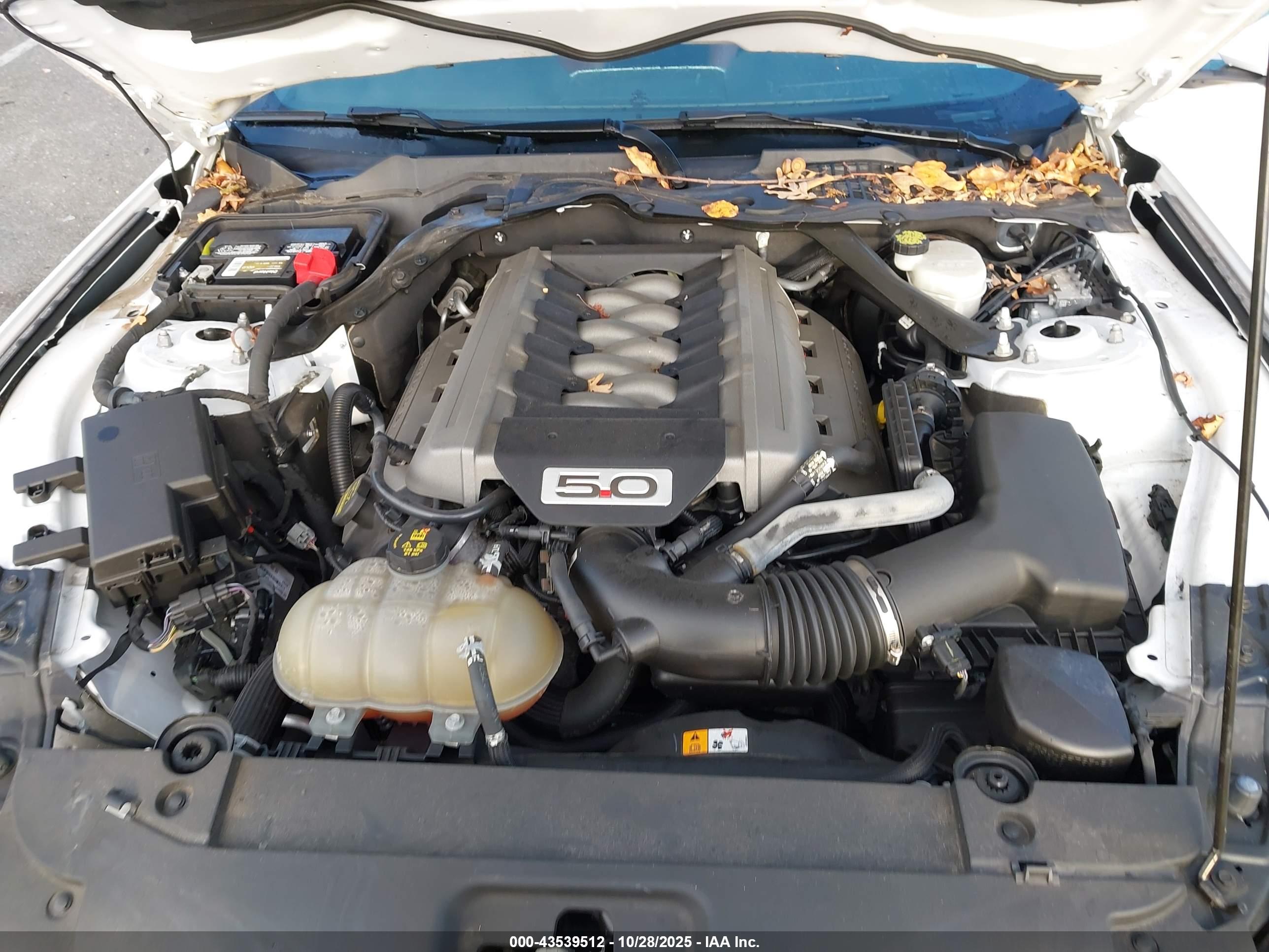 FORD MUSTANG image 10