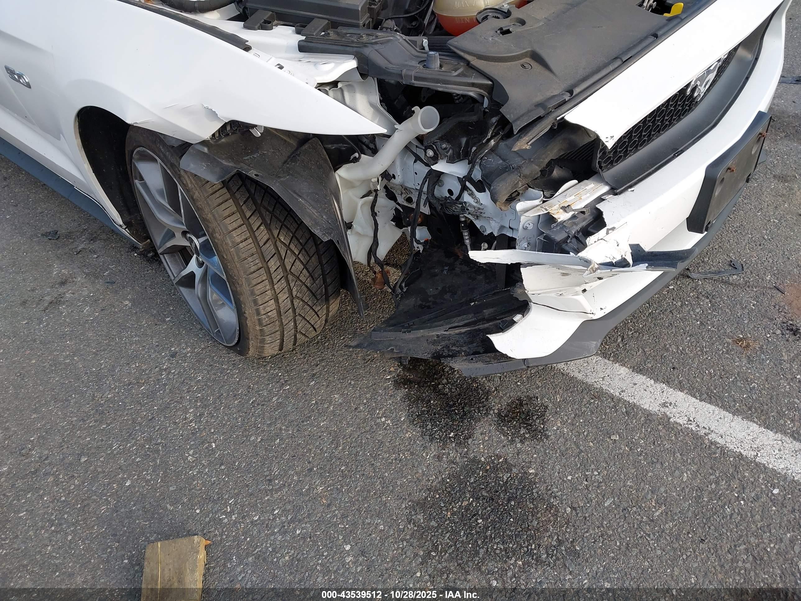 FORD MUSTANG image 6
