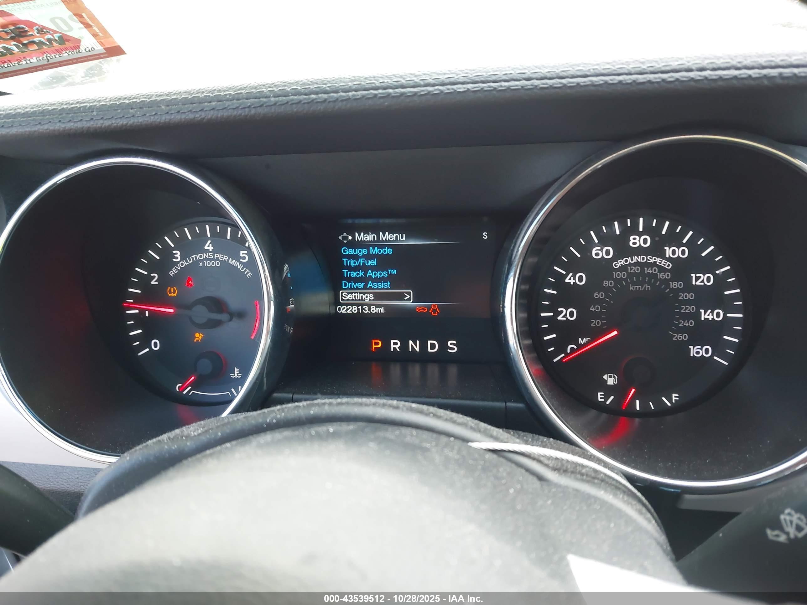 FORD MUSTANG image 7