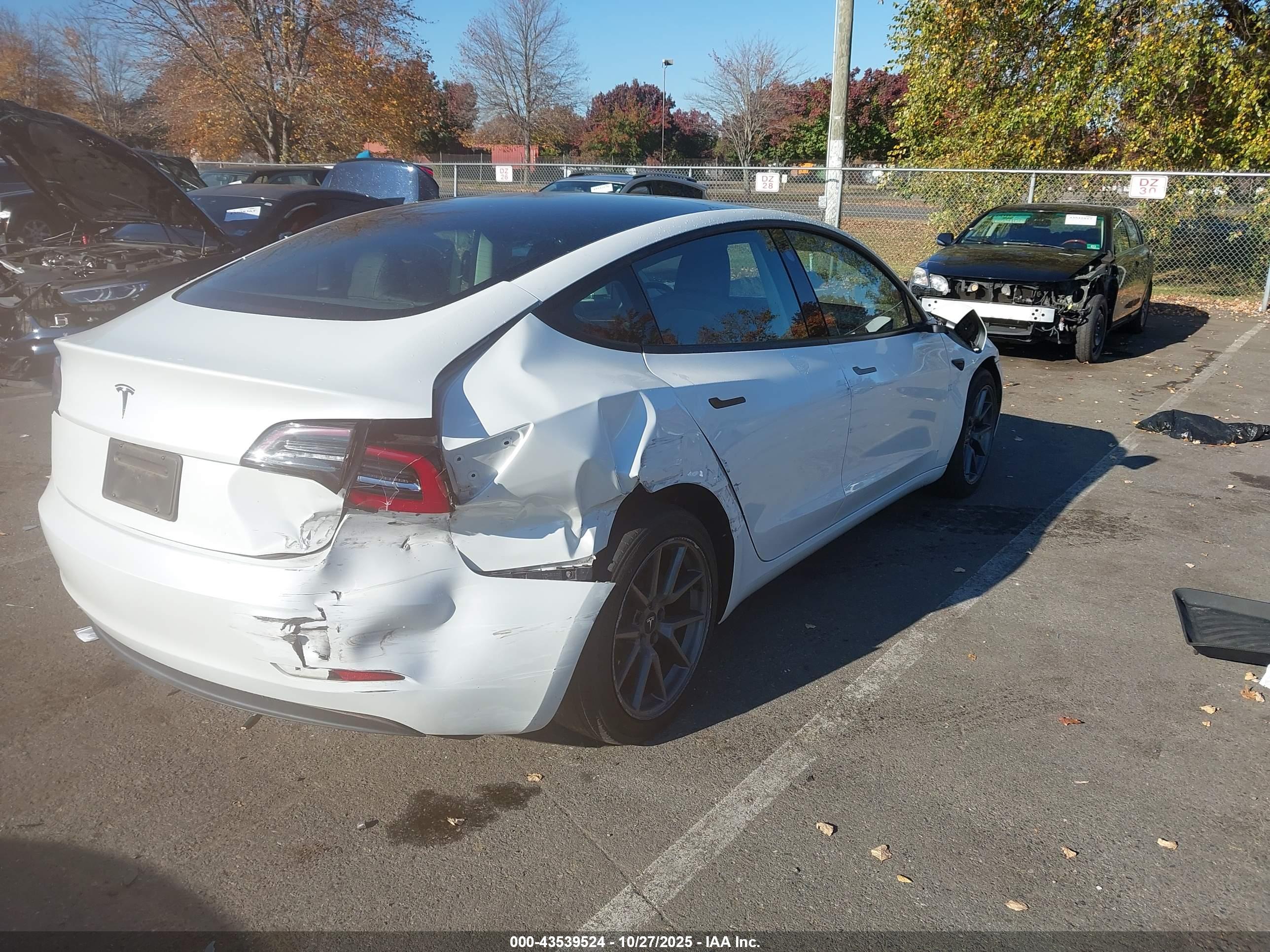 TESLA MODEL image 4