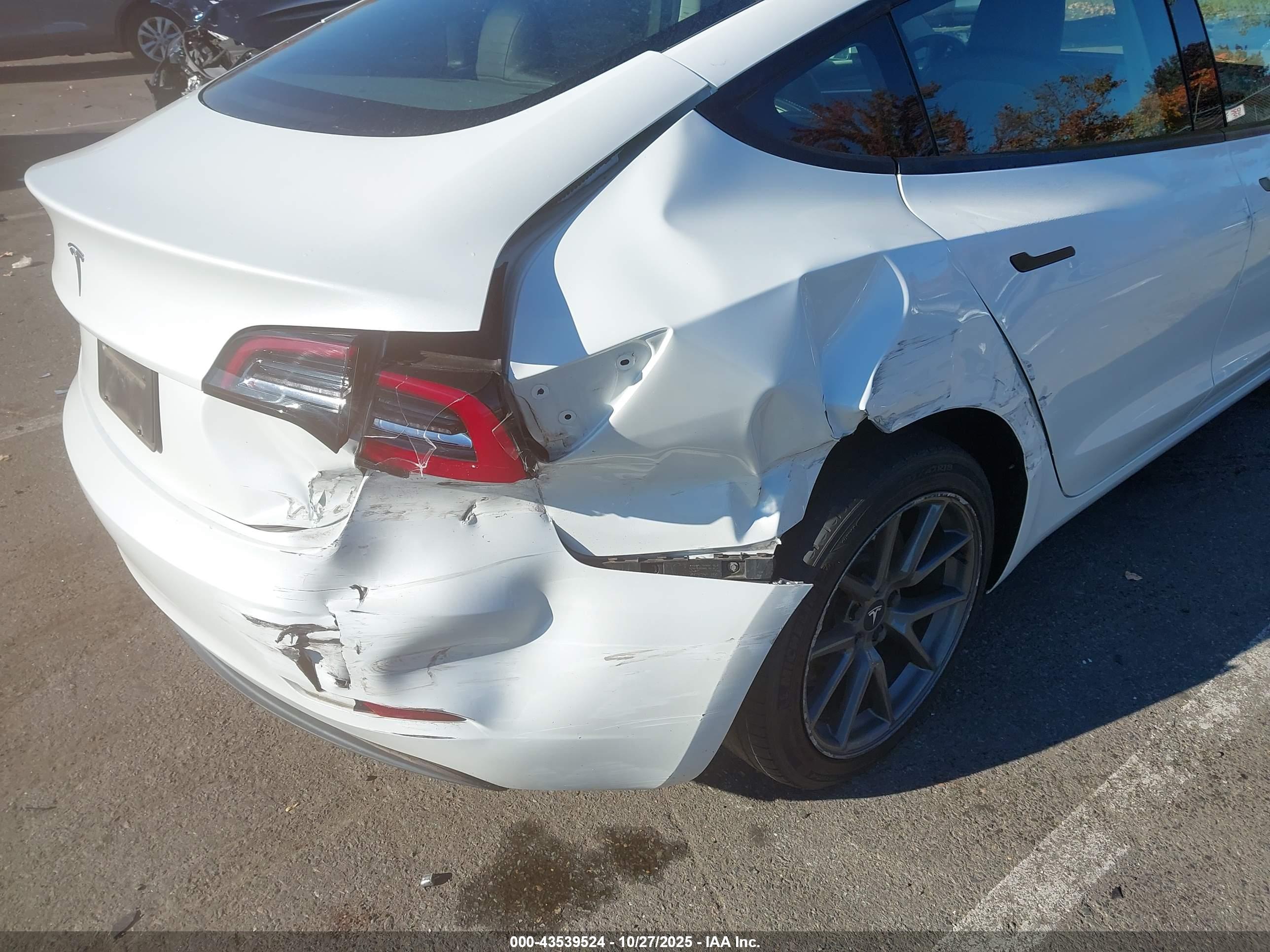 TESLA MODEL image 6
