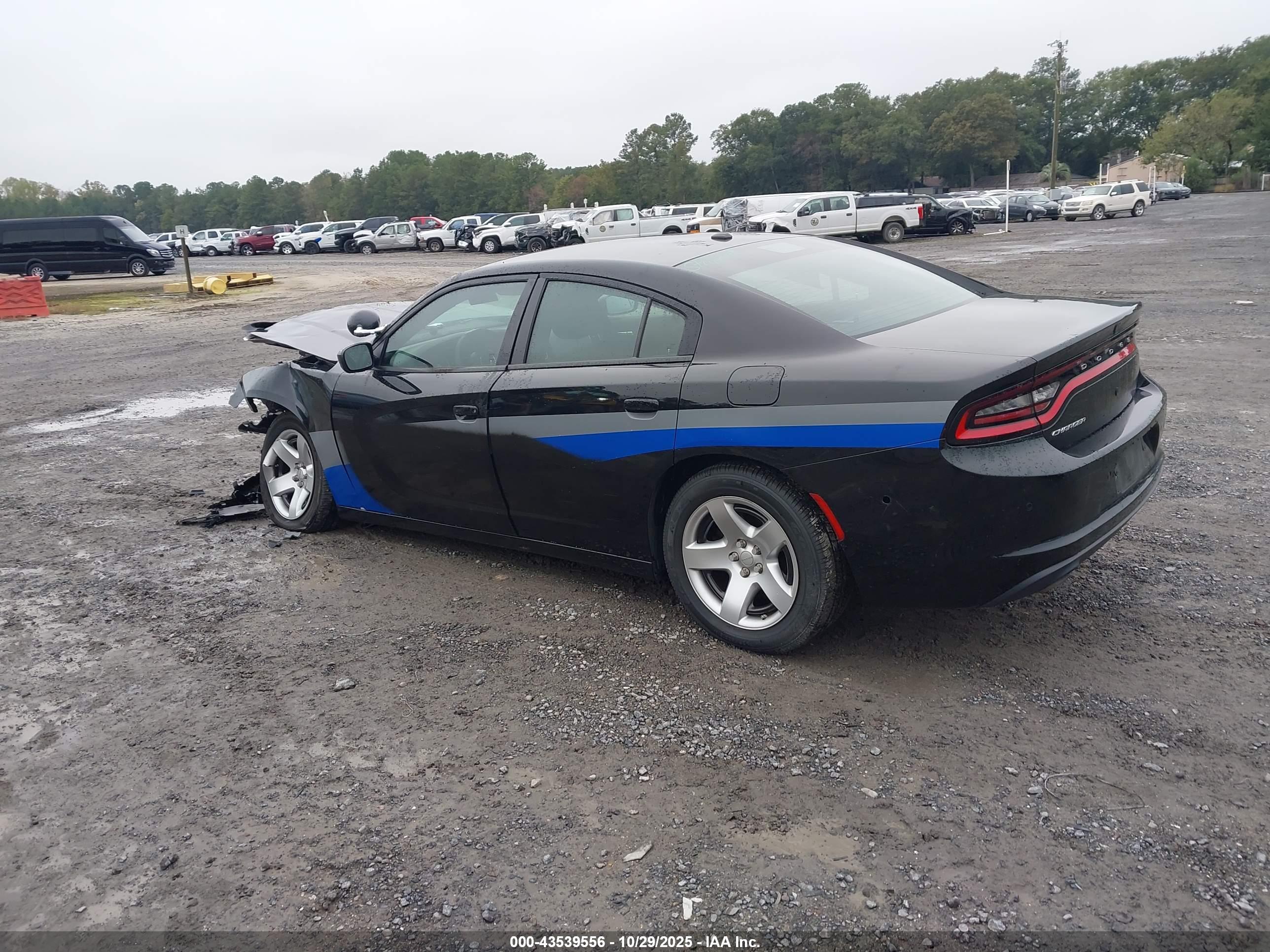 DODGE CHARGER image 3