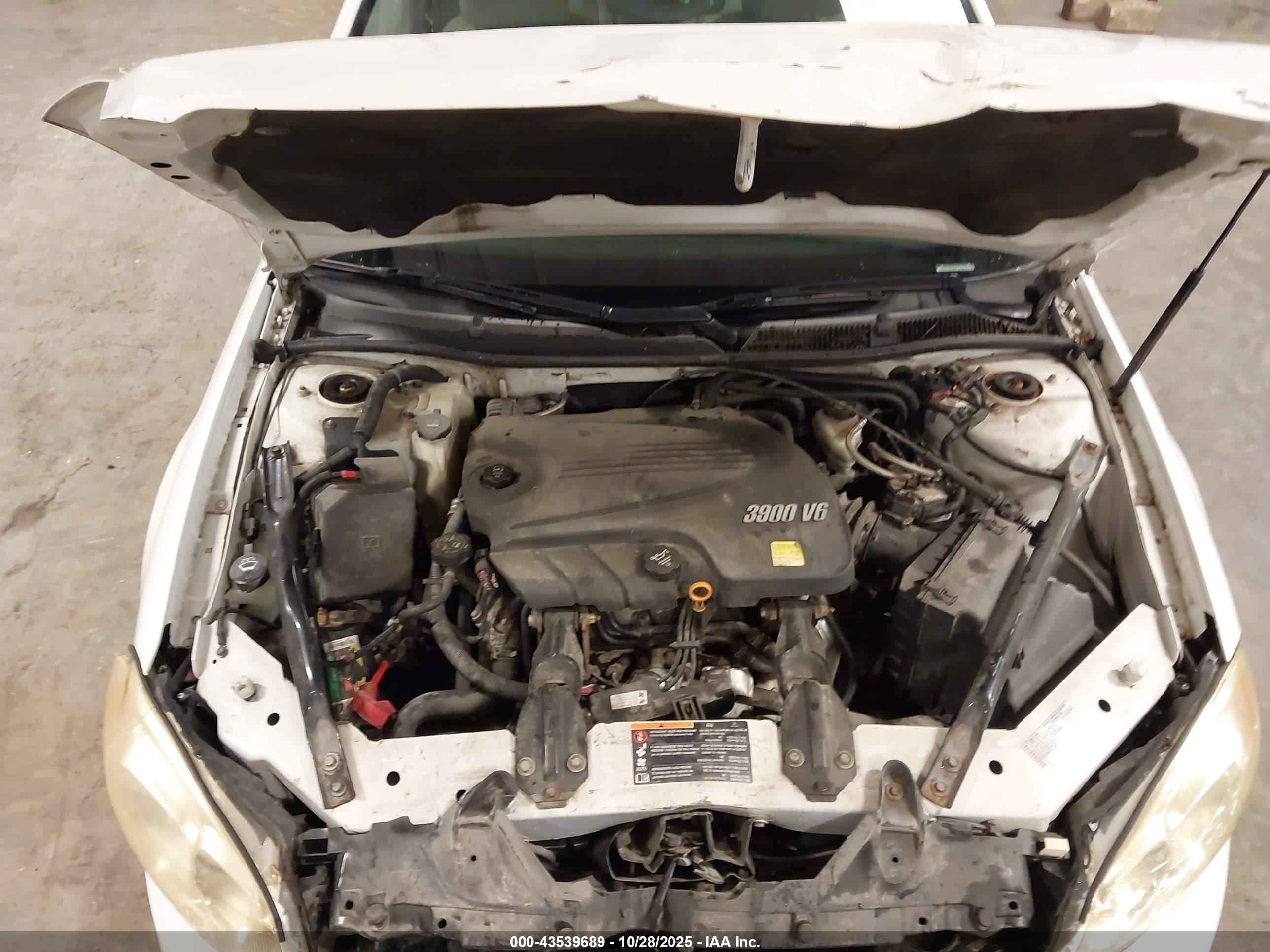 CHEVROLET IMPALA image 10