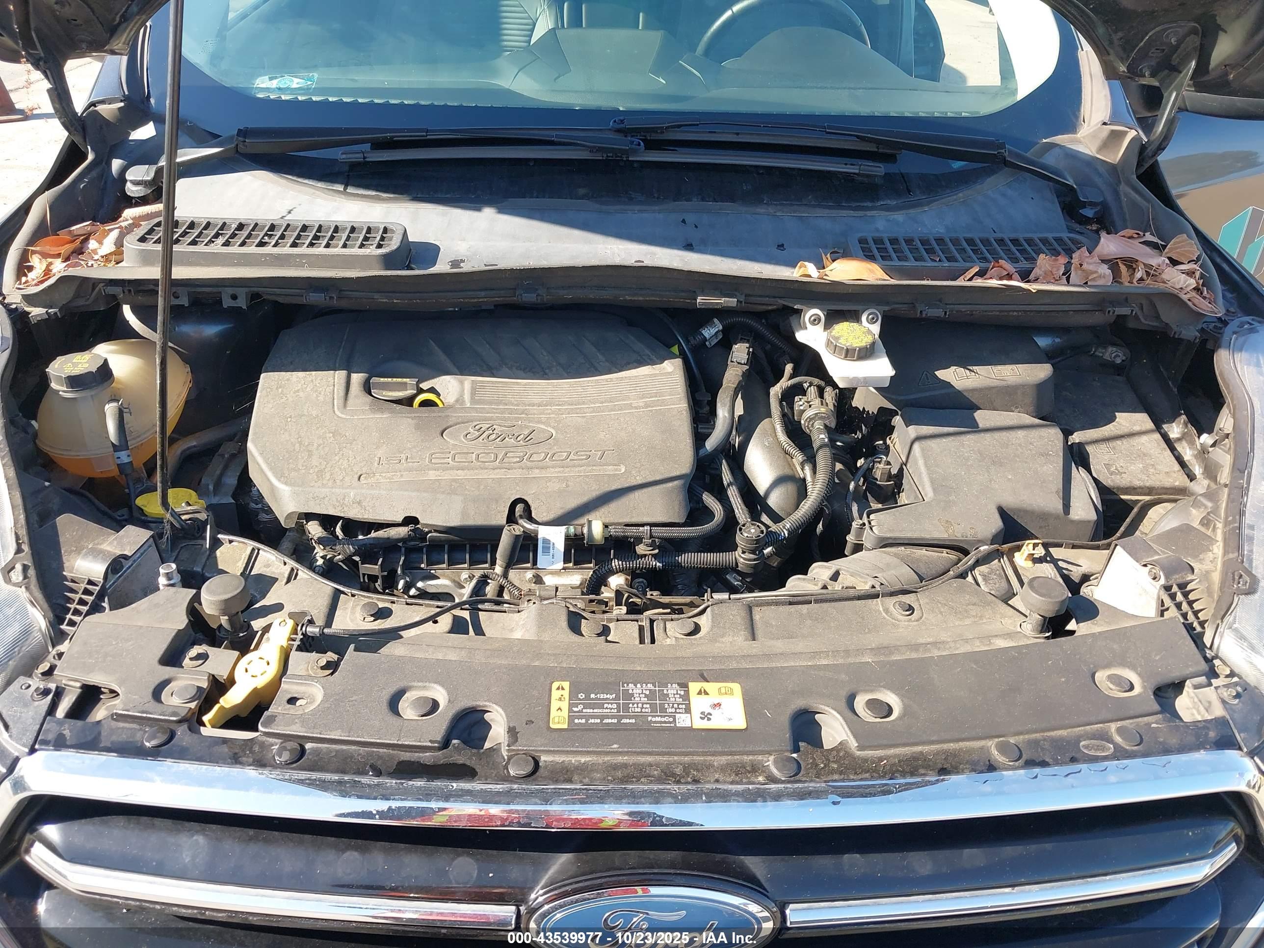 FORD ESCAPE image 10