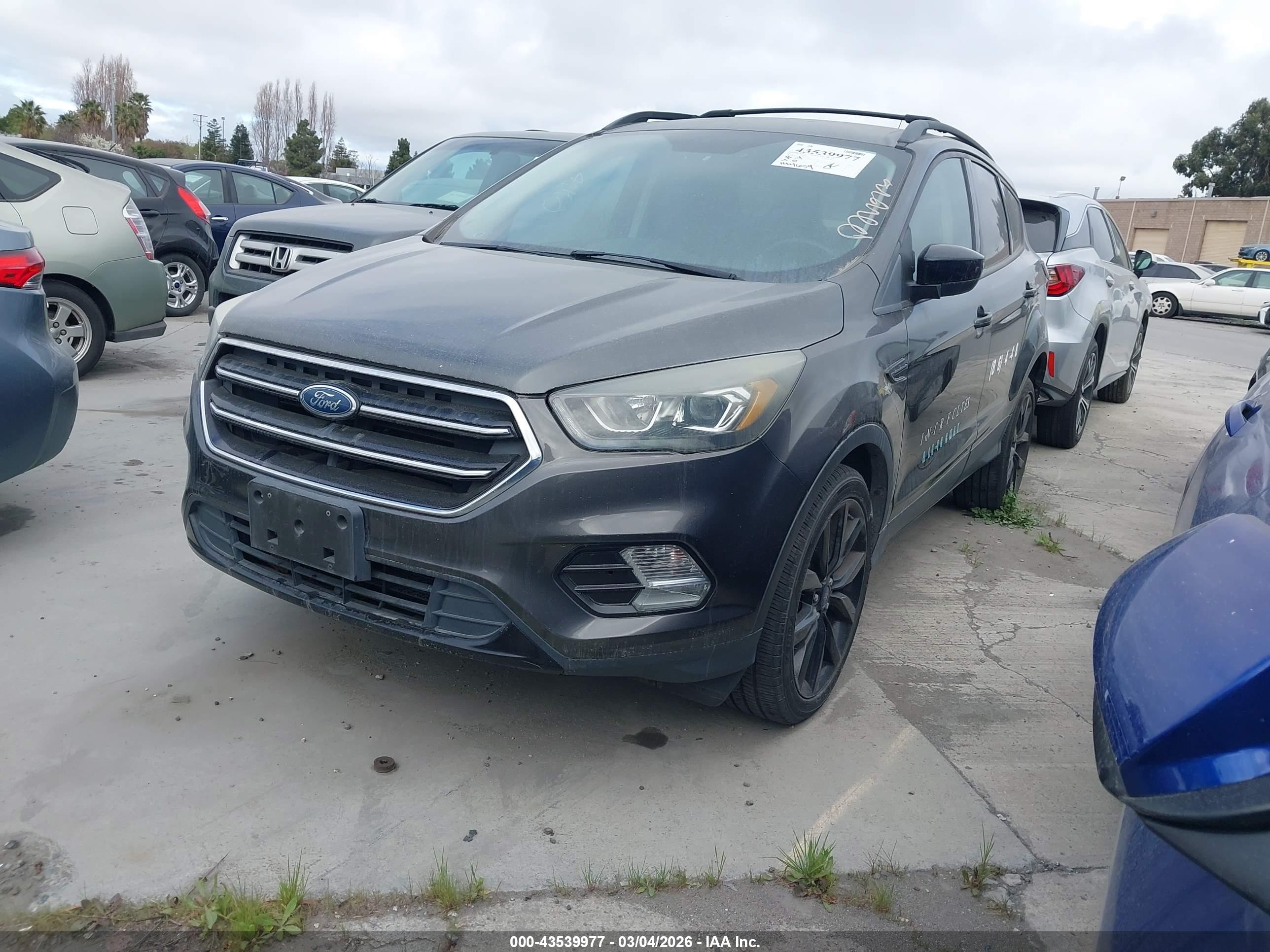FORD ESCAPE image 2