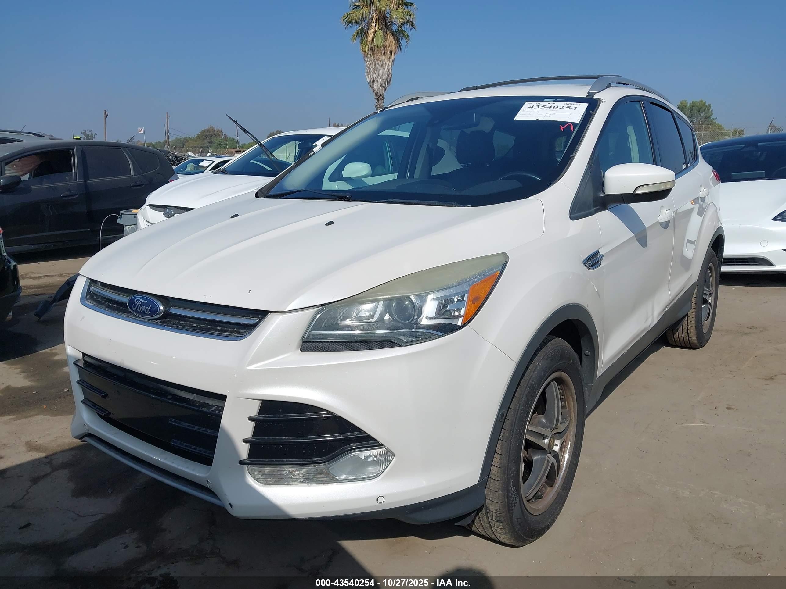 FORD ESCAPE image 2