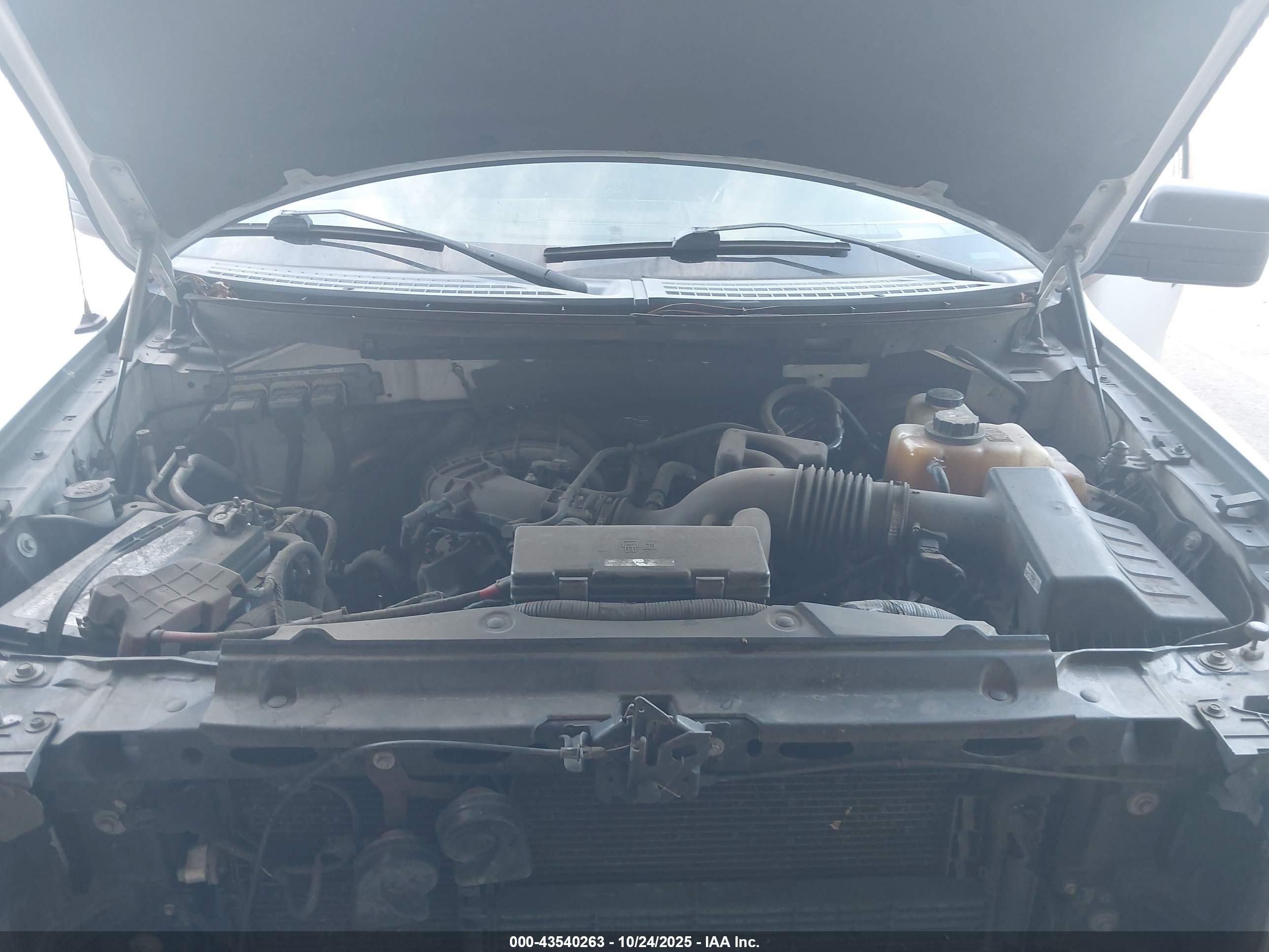 FORD F-150 image 10