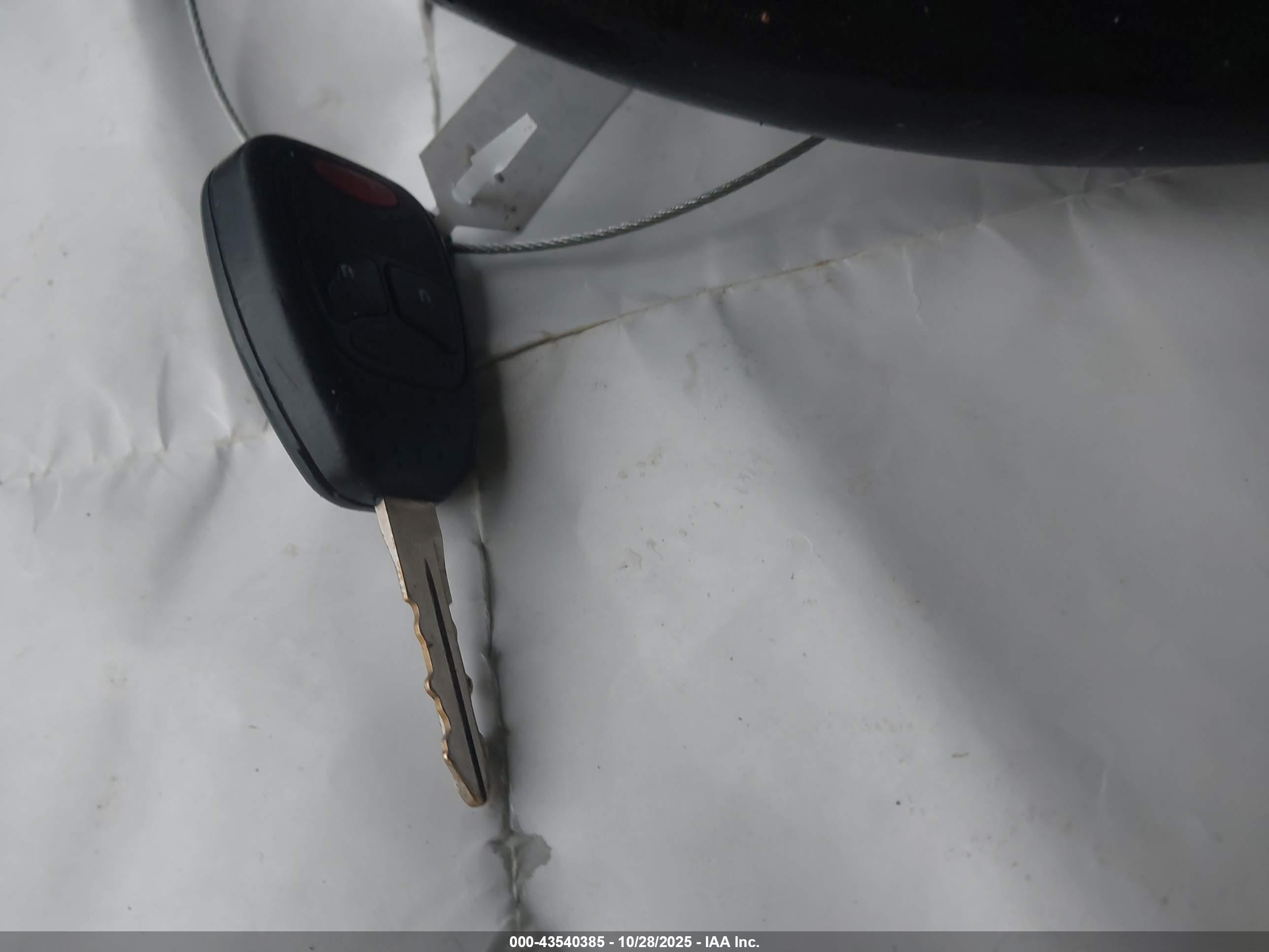 JEEP WRANGLER image 11