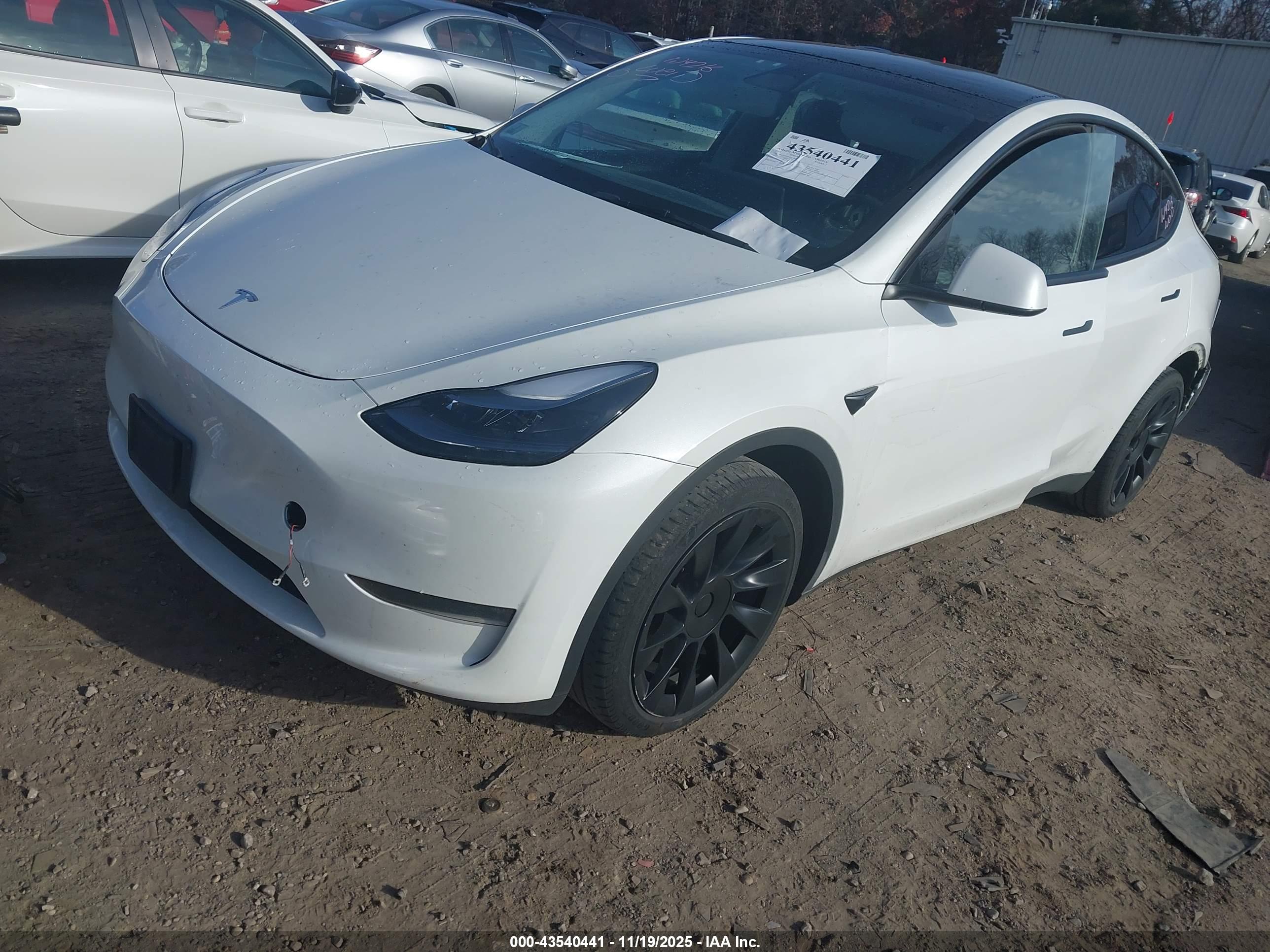 TESLA MODEL image 2