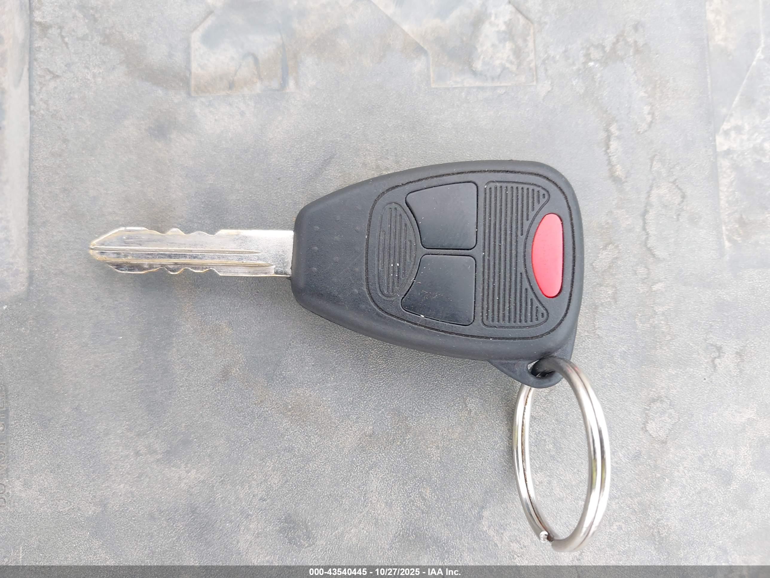 JEEP WRANGLER image 11
