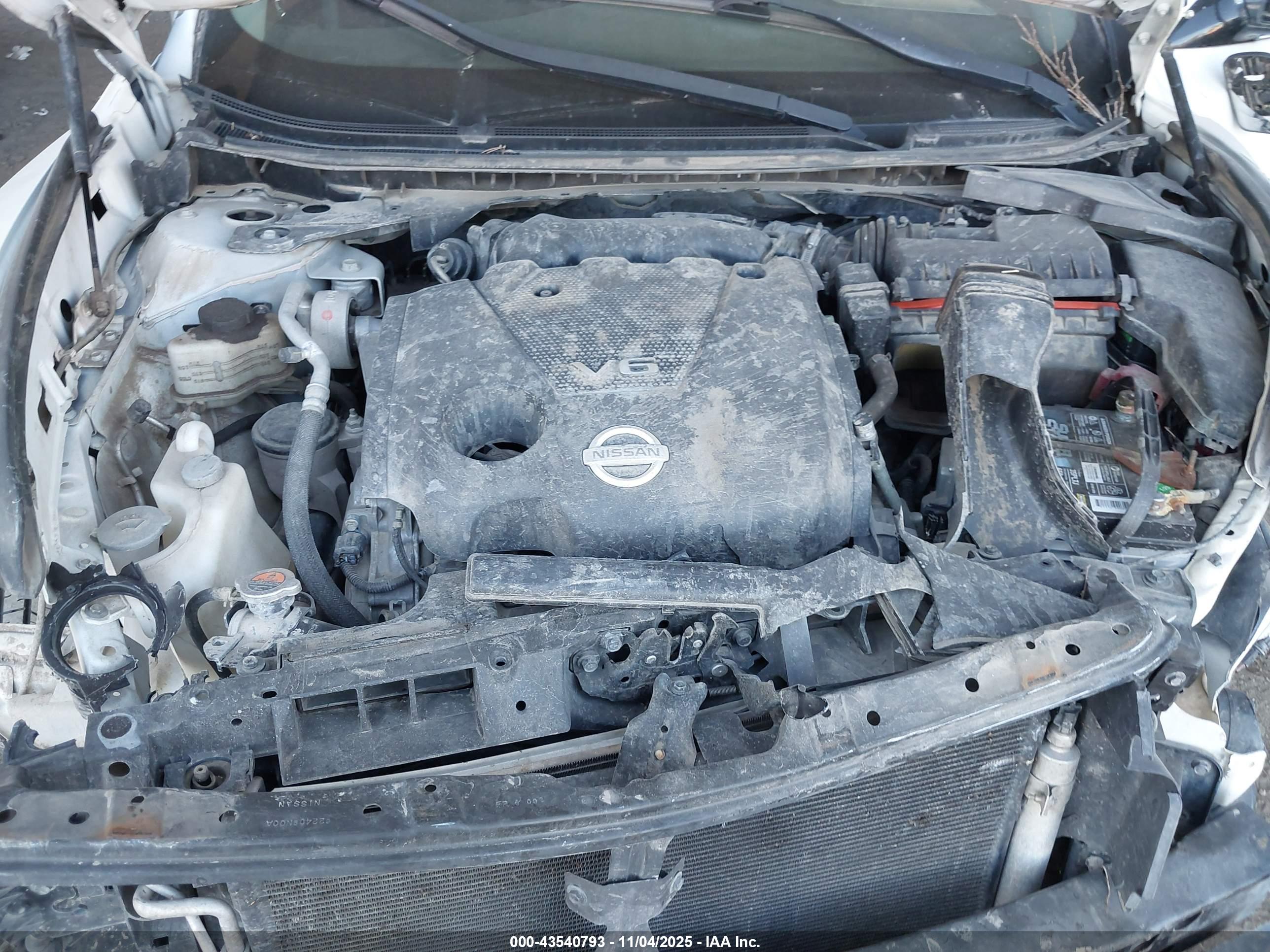 NISSAN MAXIMA image 10
