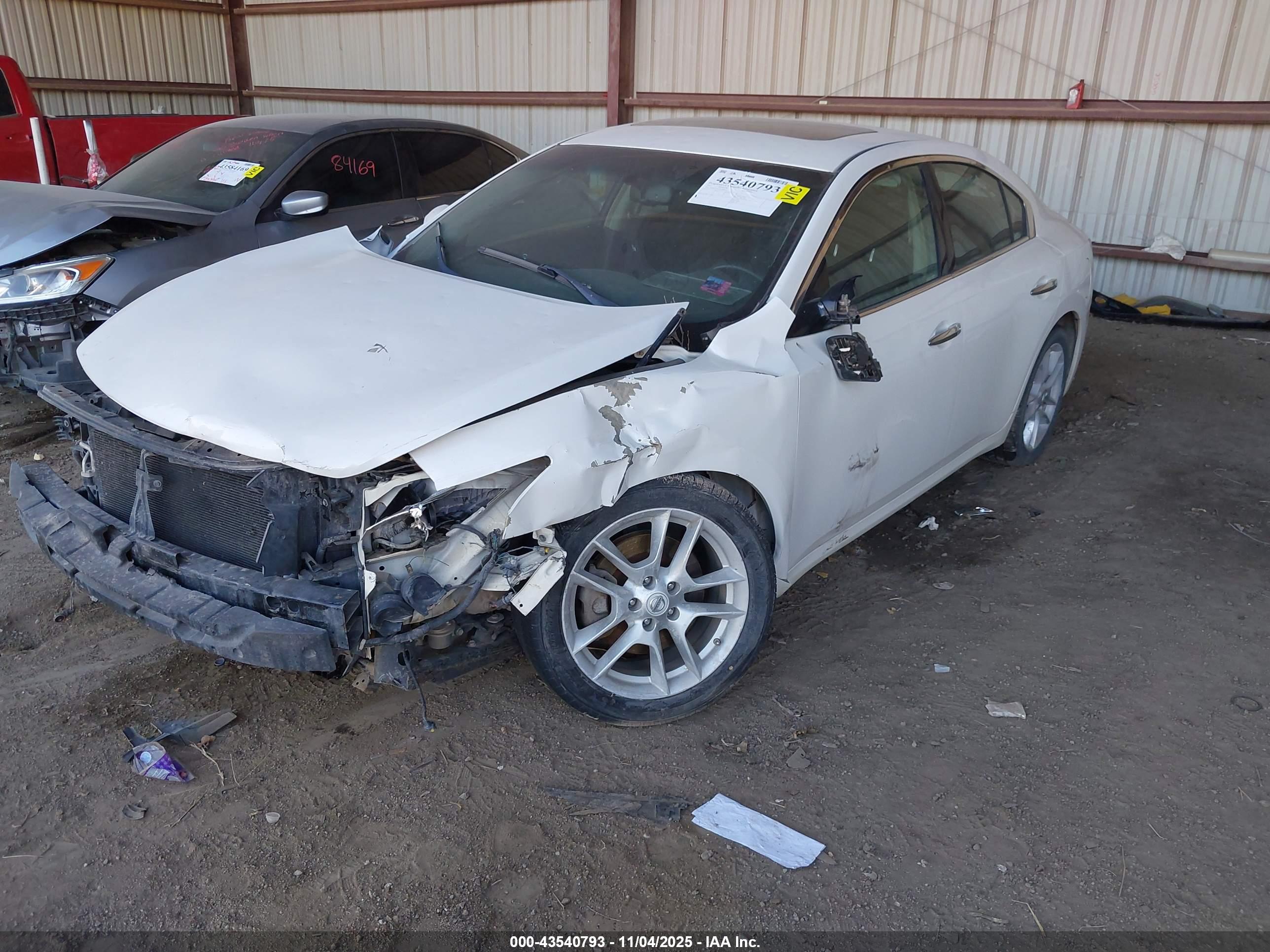 NISSAN MAXIMA image 2