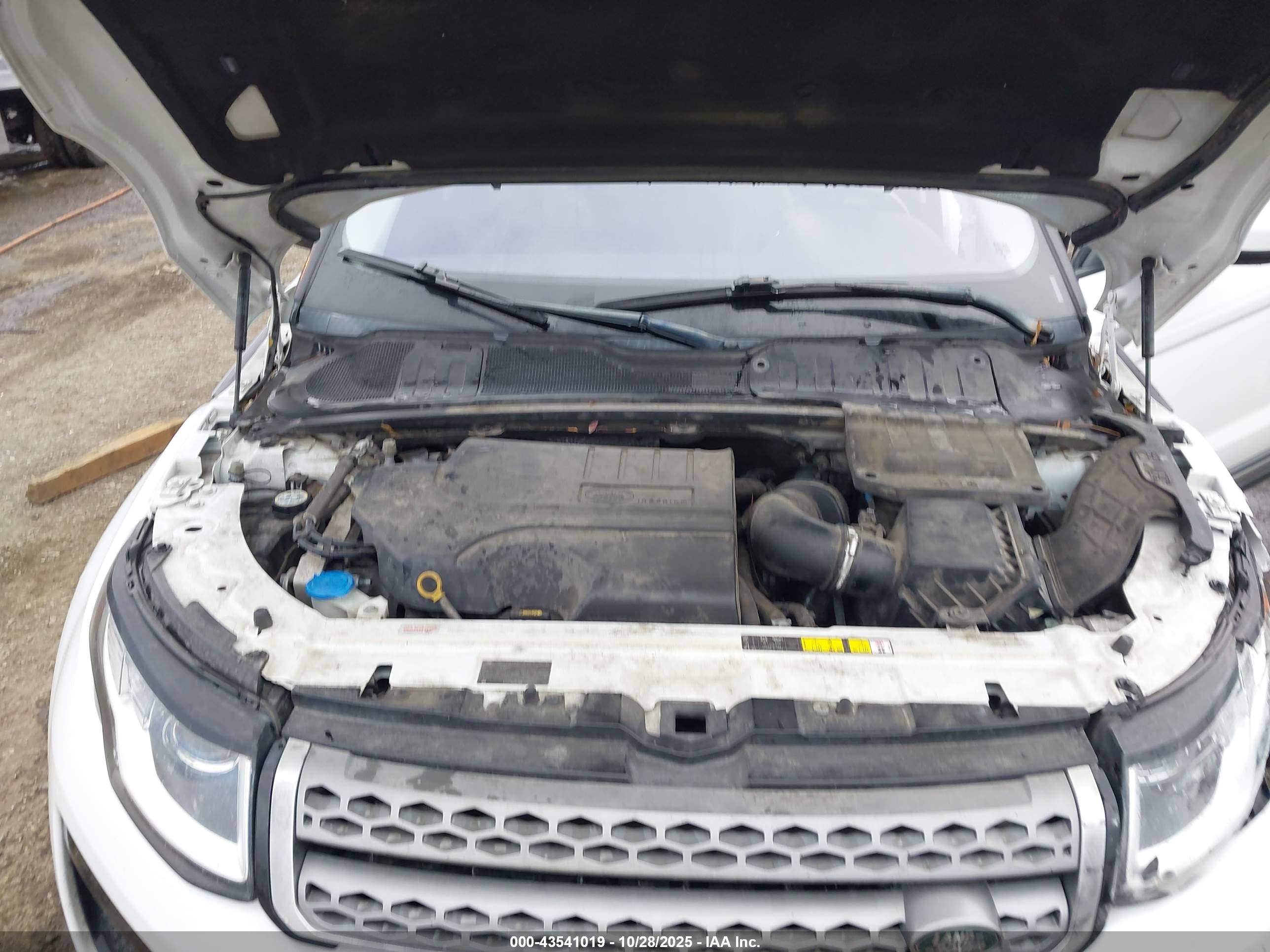 LAND ROVER image 10