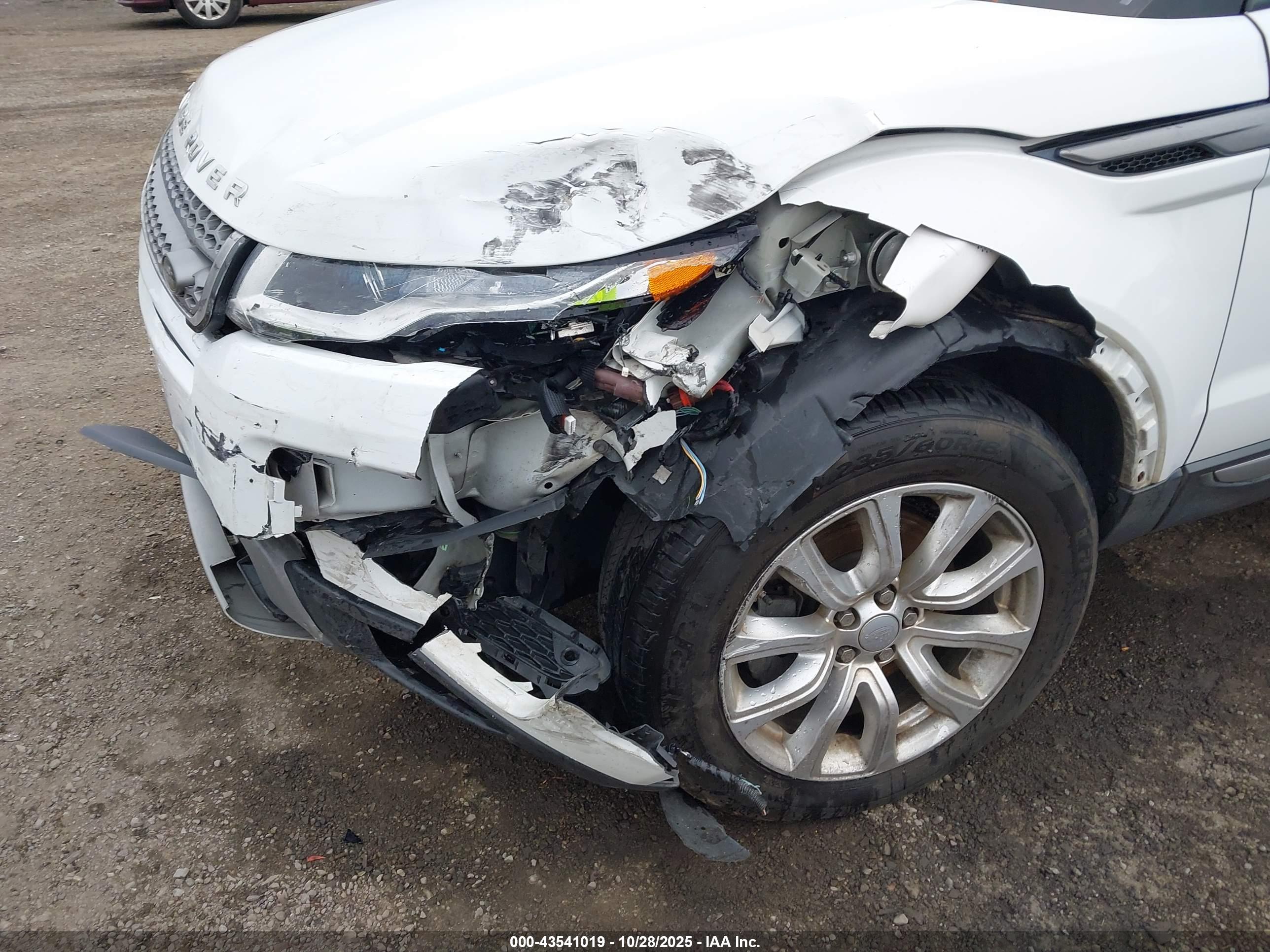 LAND ROVER image 6