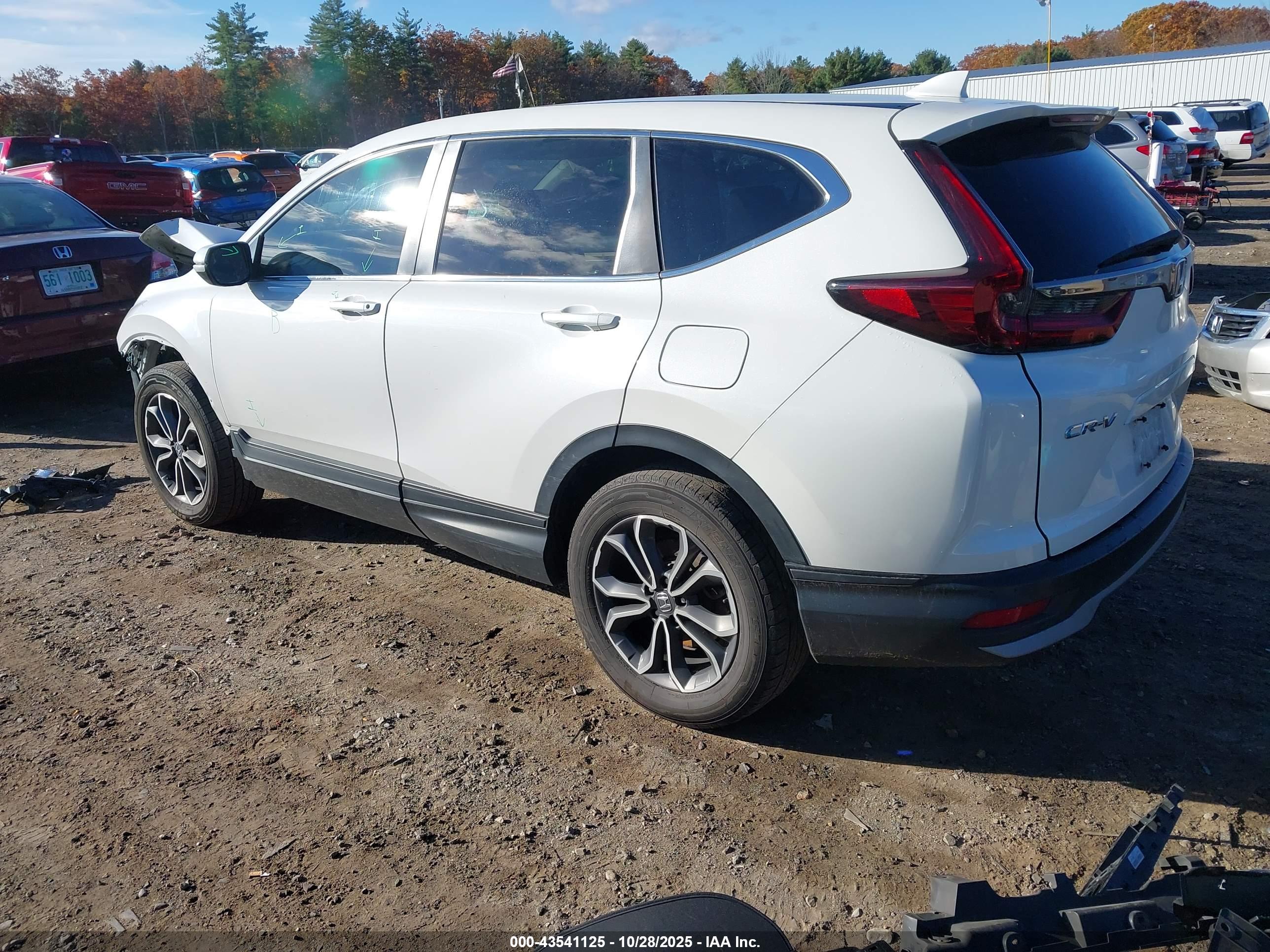 HONDA CR-V image 3