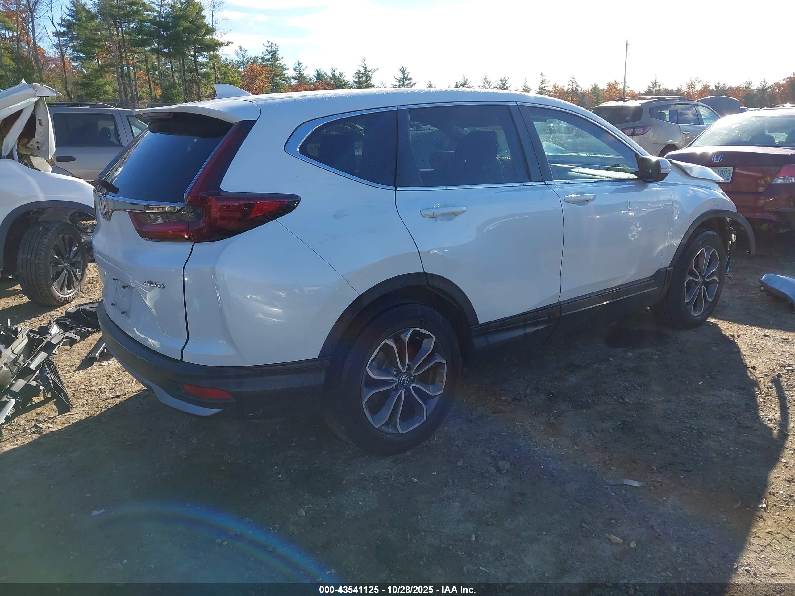 HONDA CR-V image 4