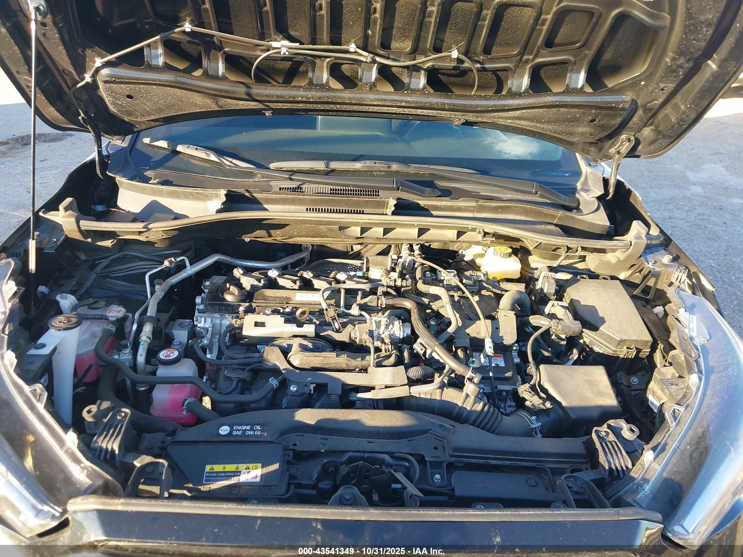 TOYOTA COROLLA image 10