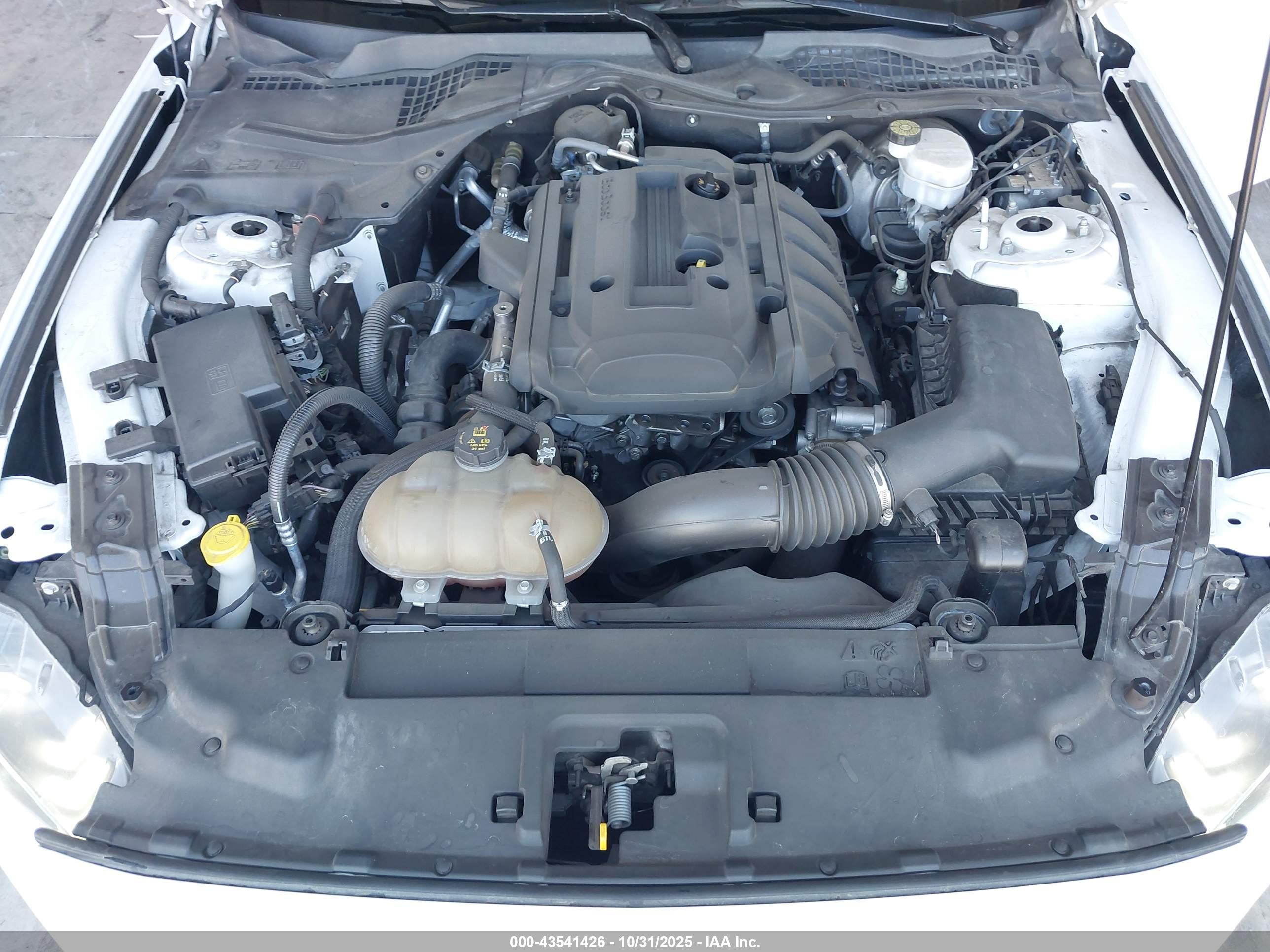 FORD MUSTANG image 10