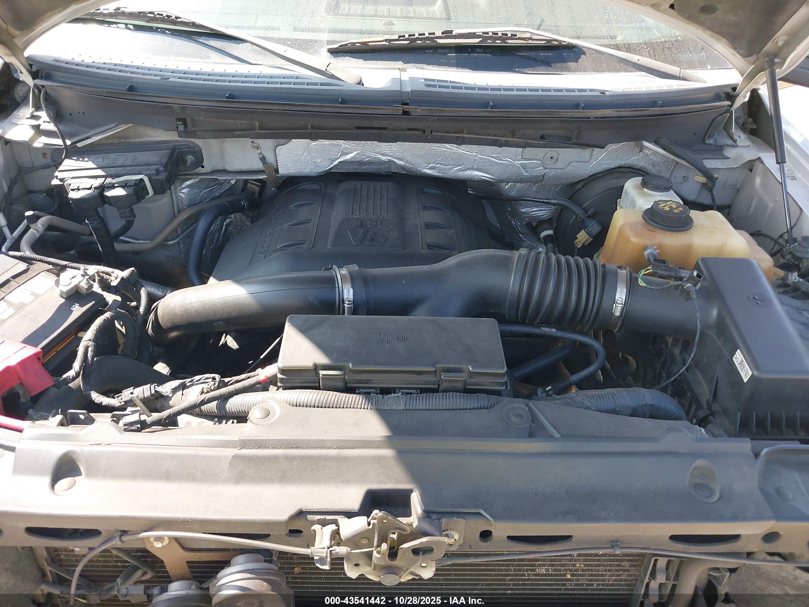 FORD F-150 image 10