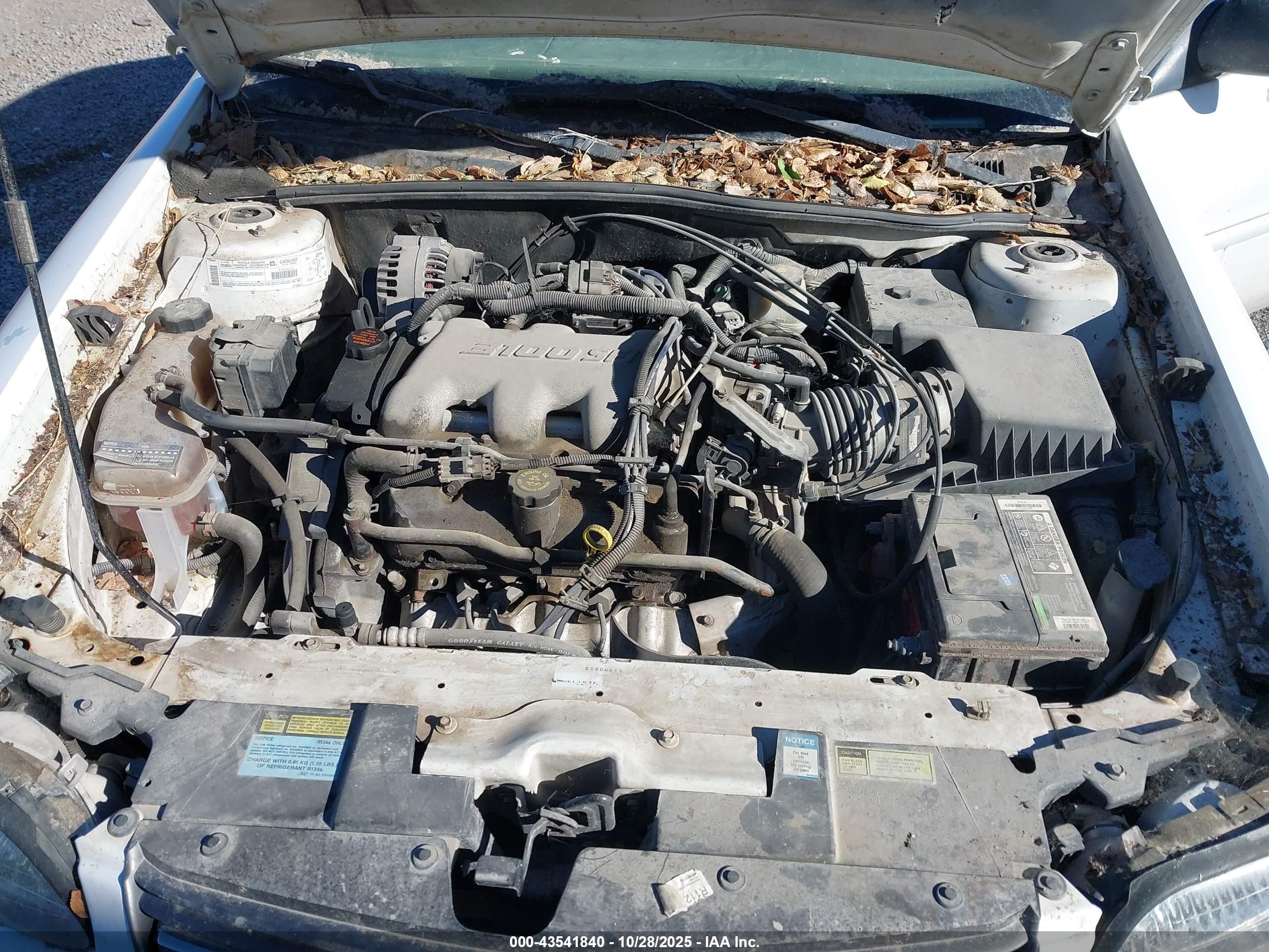 CHEVROLET MALIBU image 10