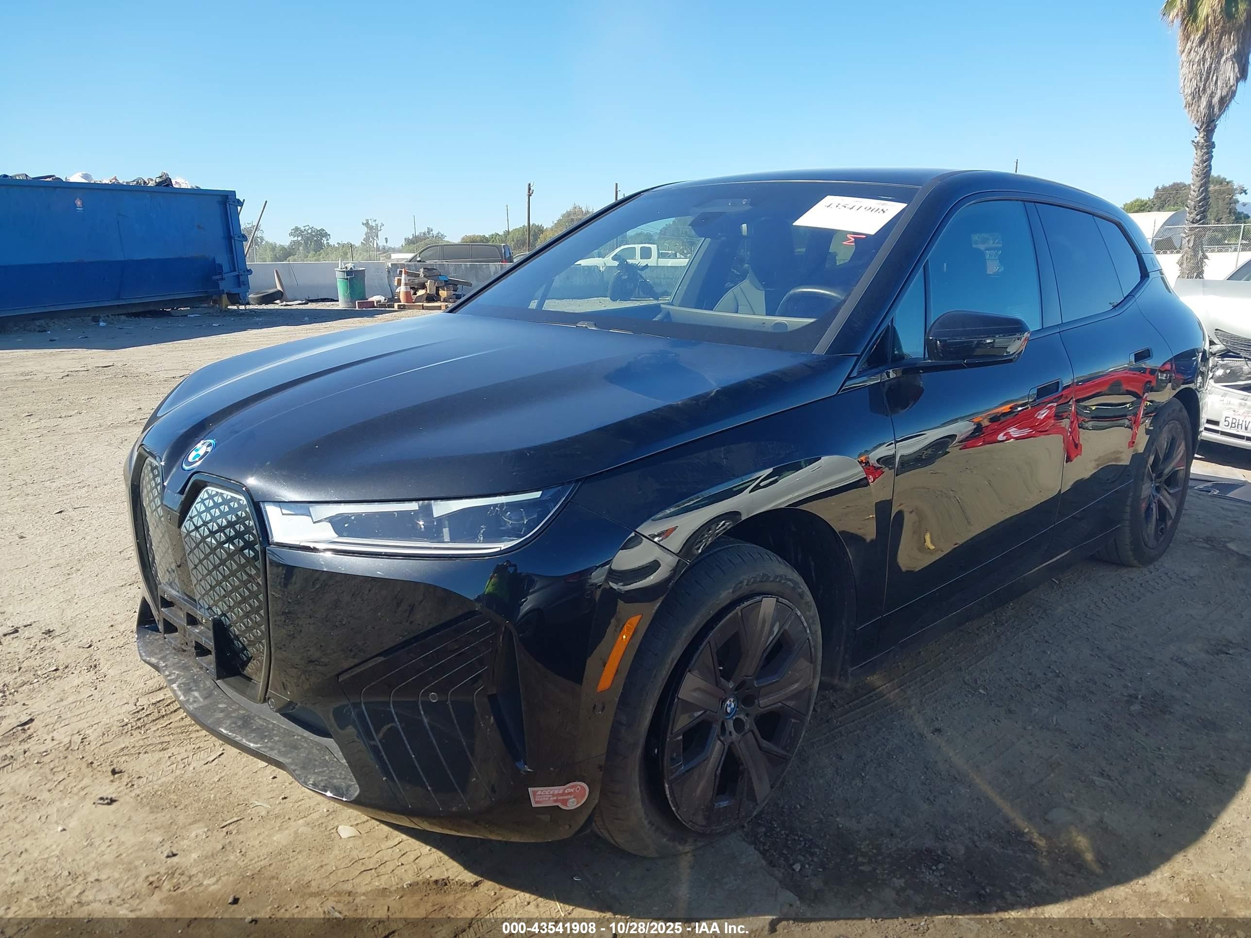 BMW IX image 2