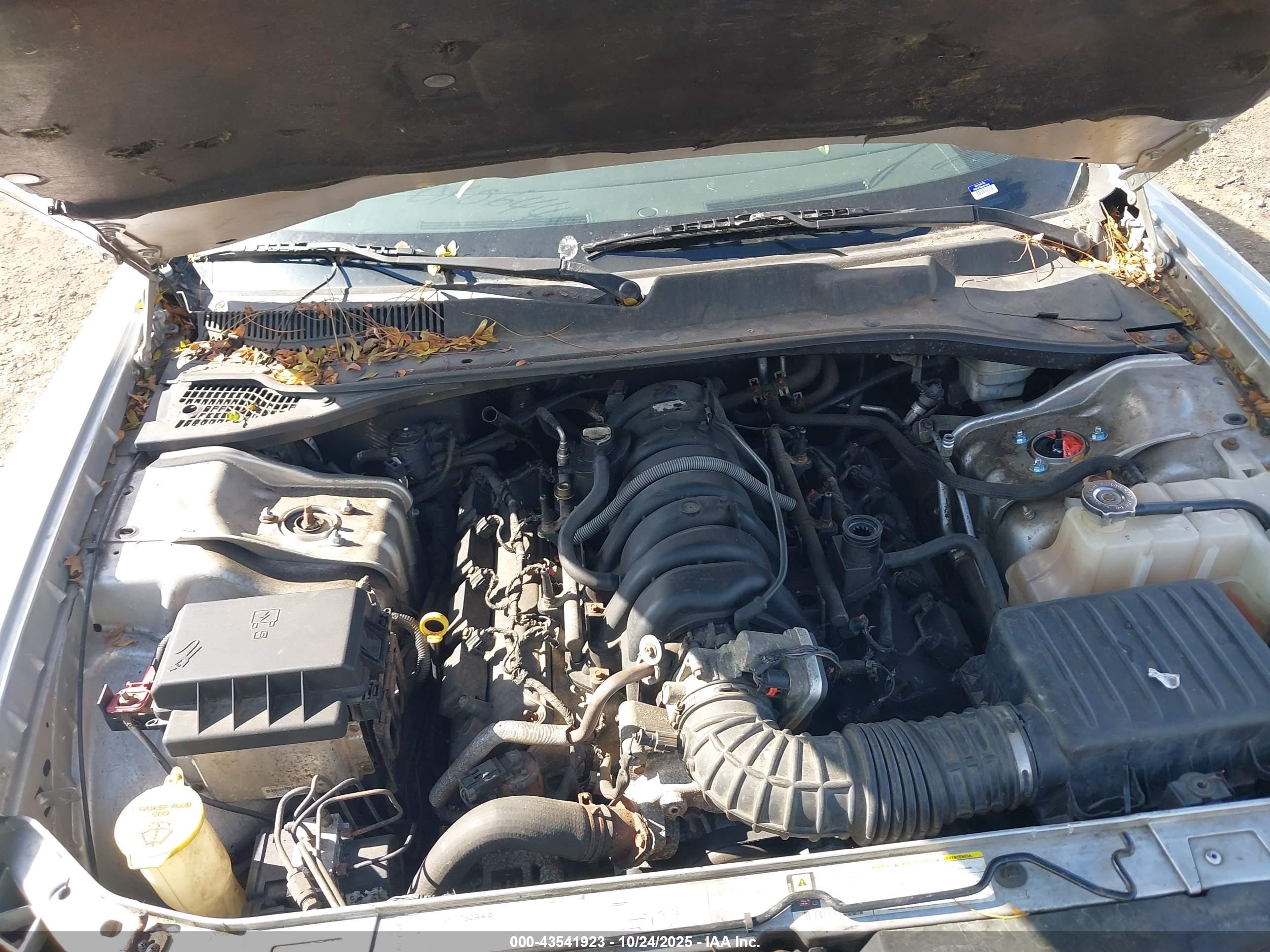 DODGE CHARGER image 10