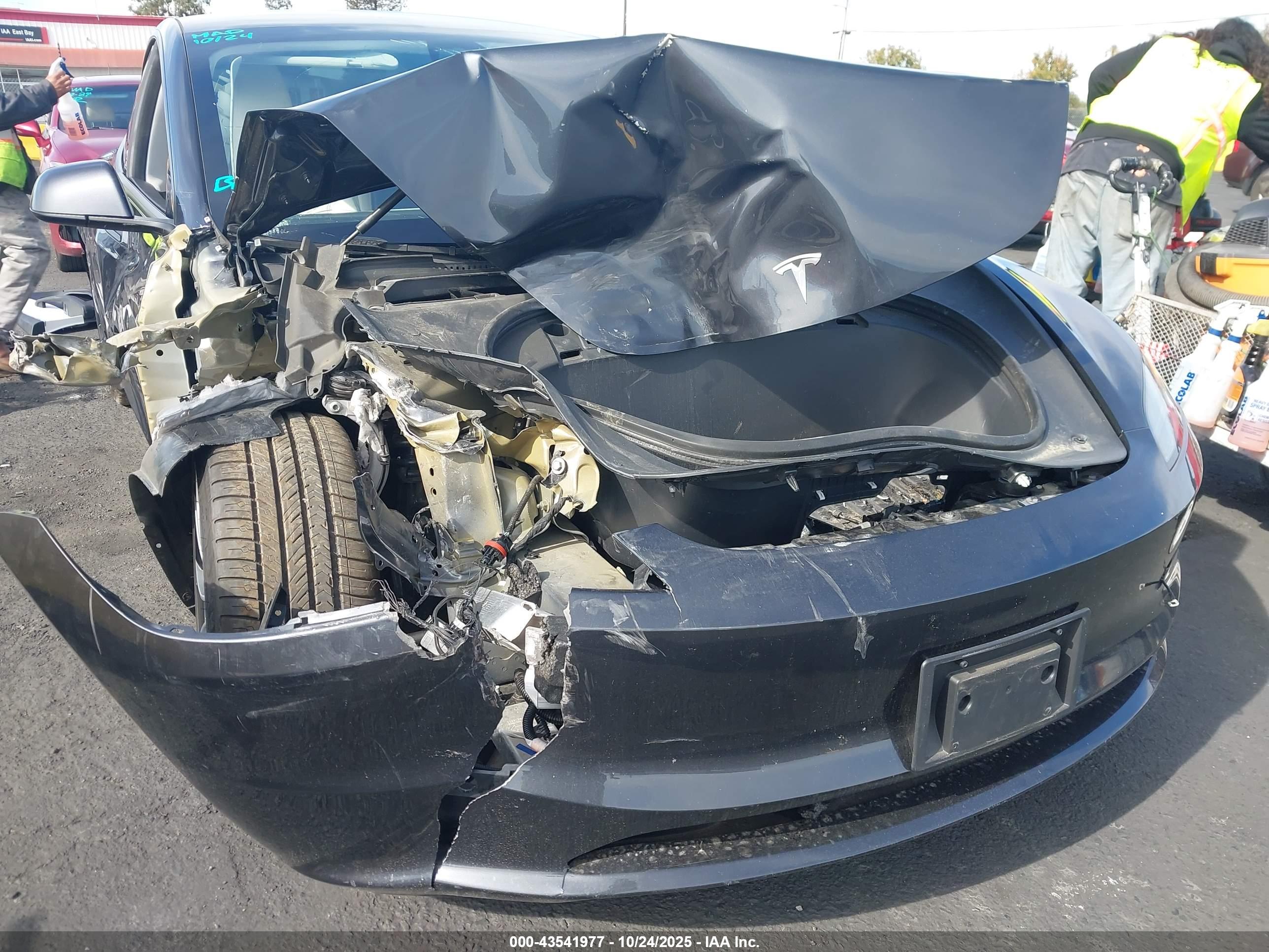 TESLA MODEL image 6