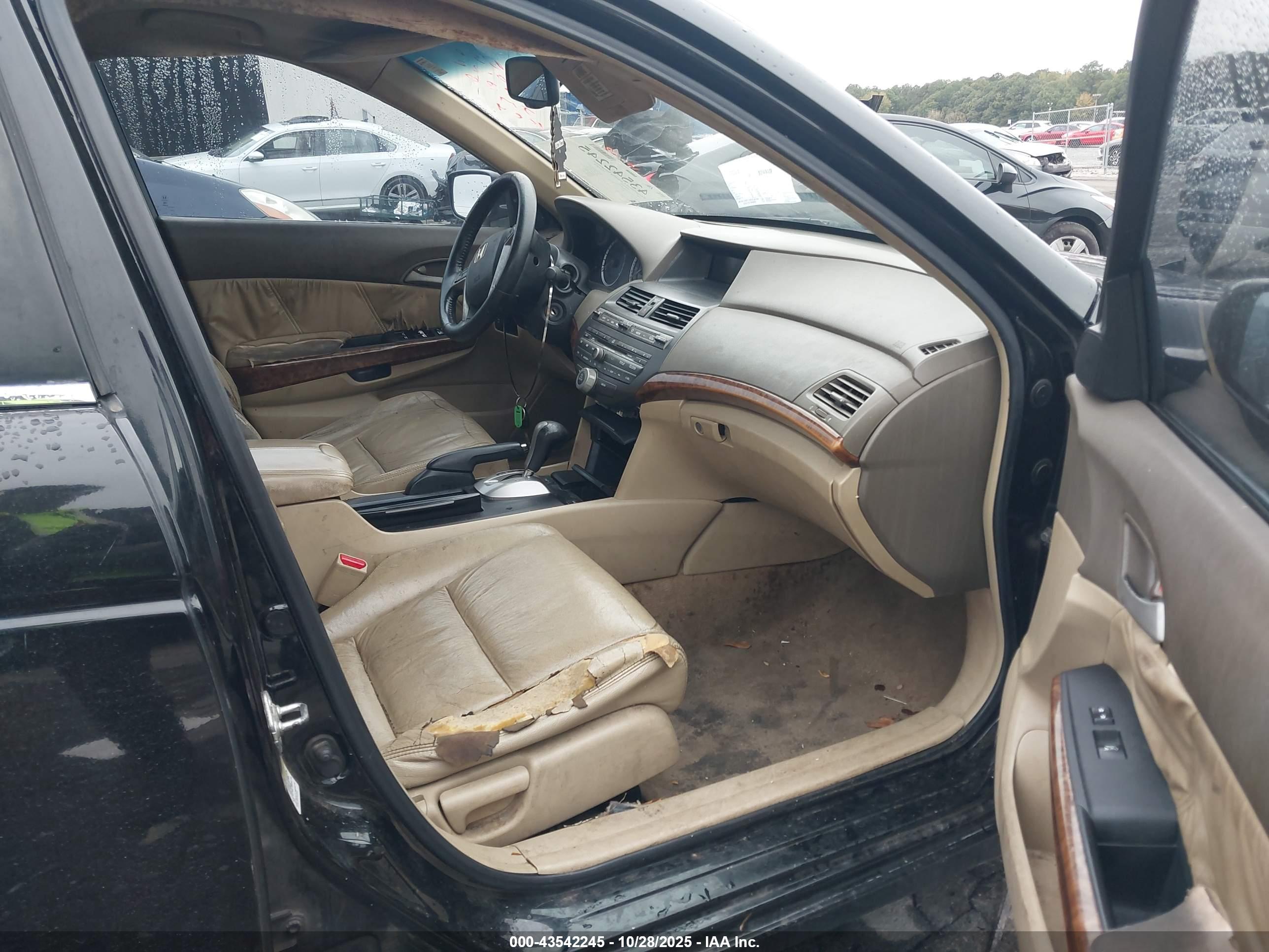 HONDA ACCORD image 5