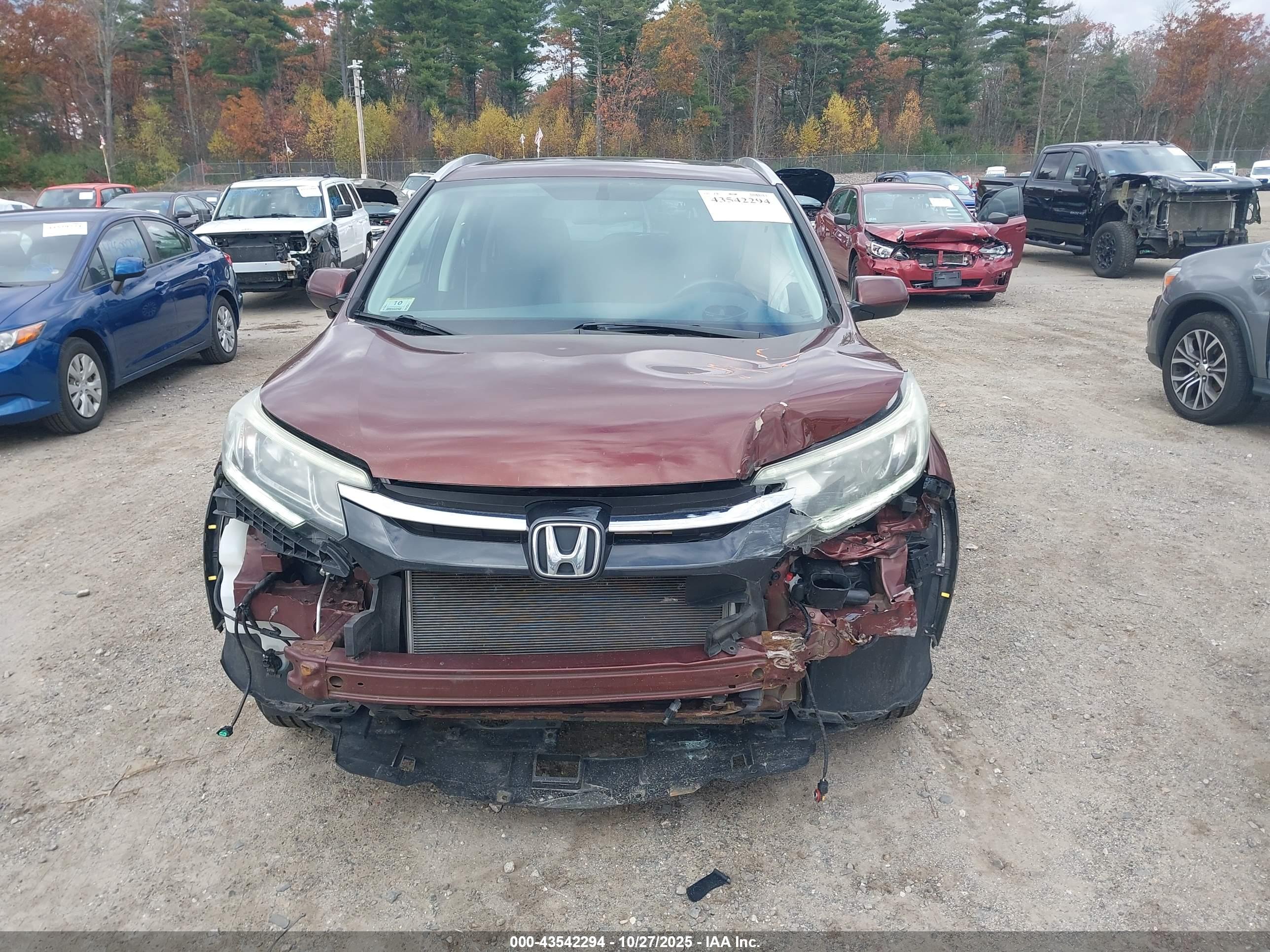 HONDA CR-V image 6